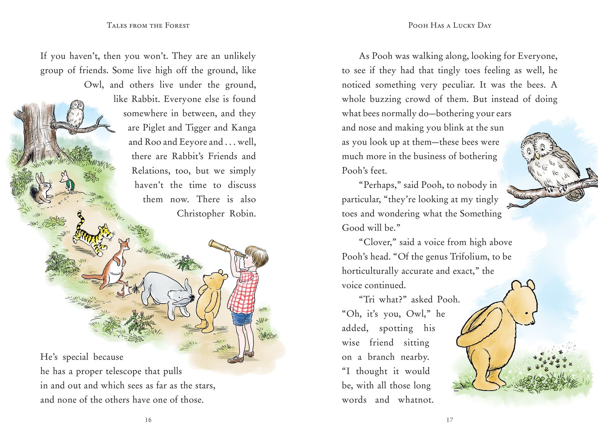 Tales from the Forest