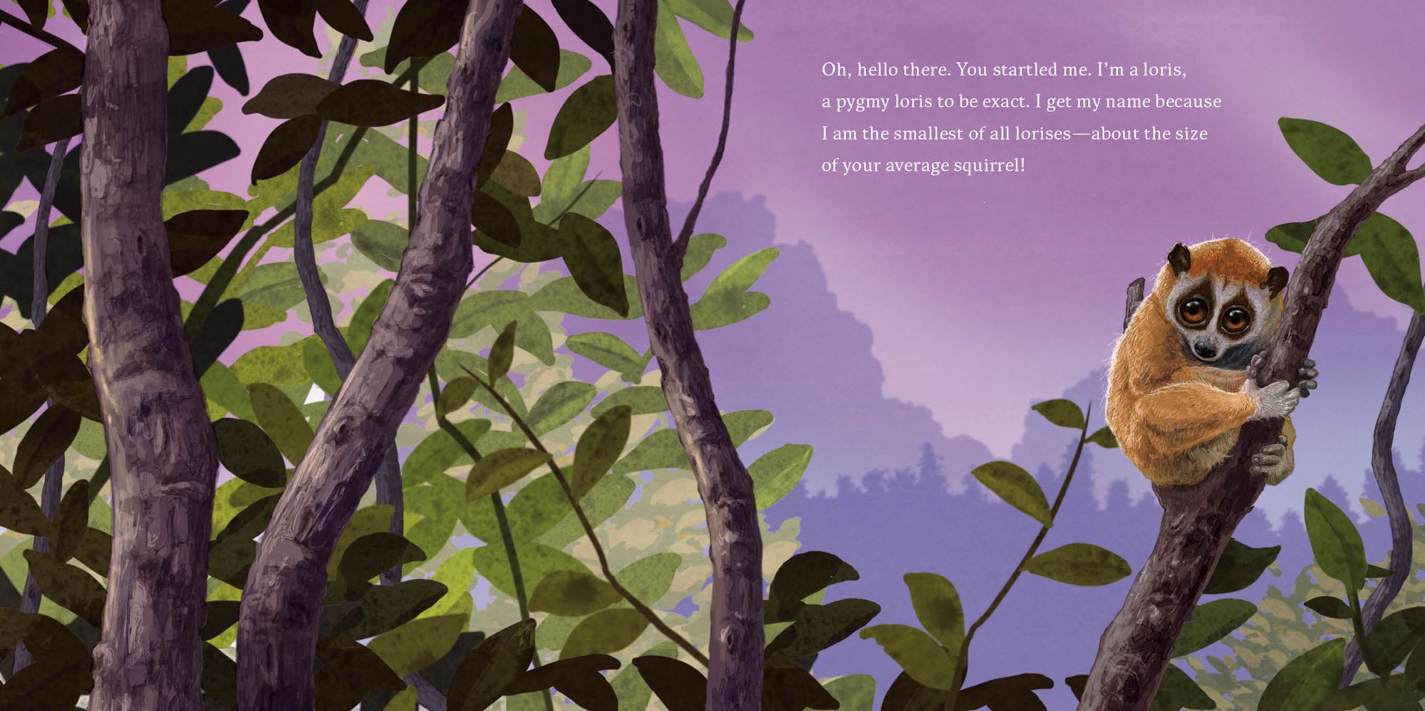 Hello, I'm a Loris (Meet the Wild Things, Book 6)