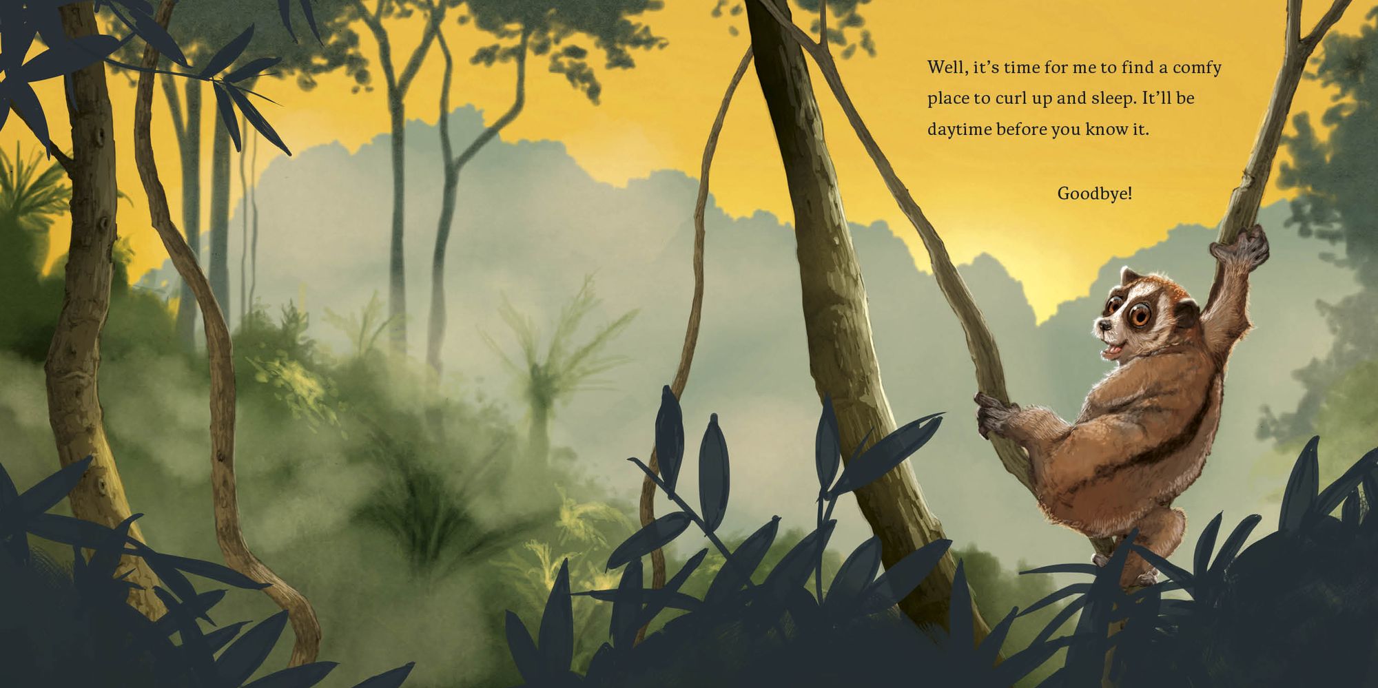 Hello, I'm a Loris (Meet the Wild Things, Book 6)
