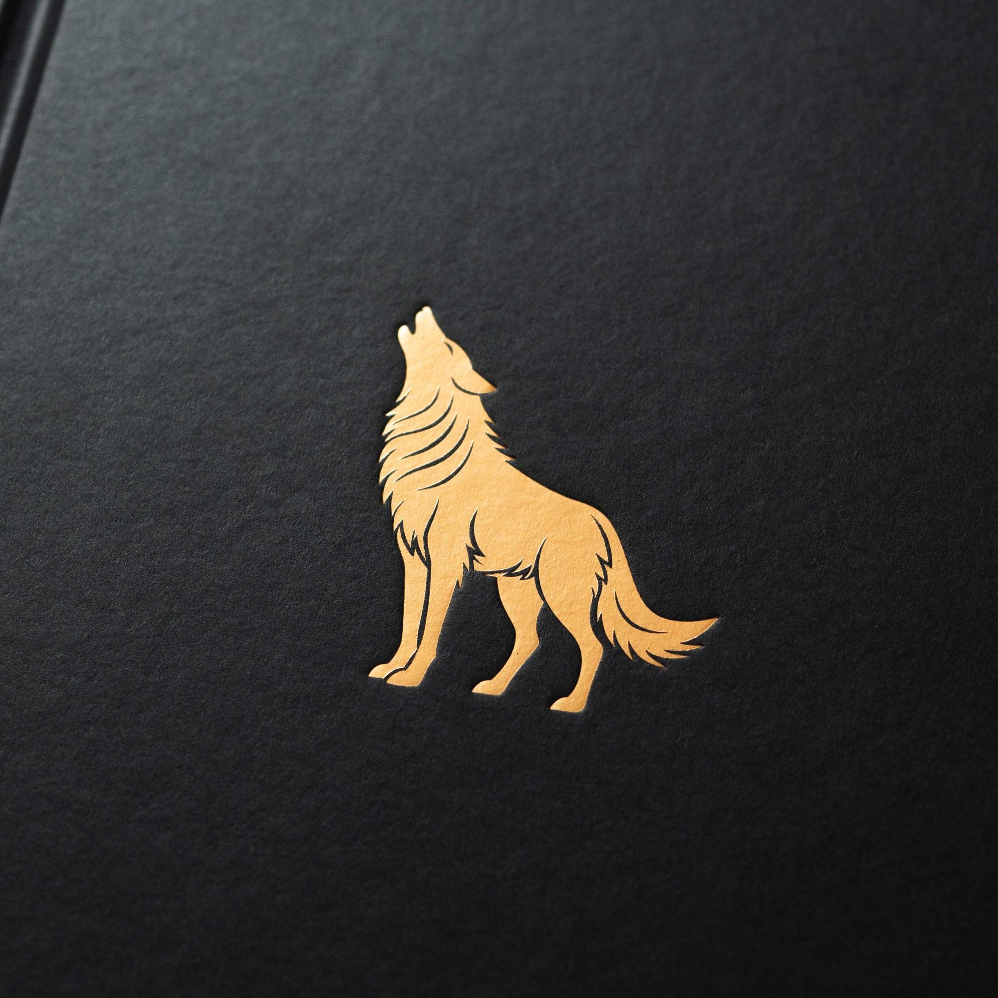 Broken Dove