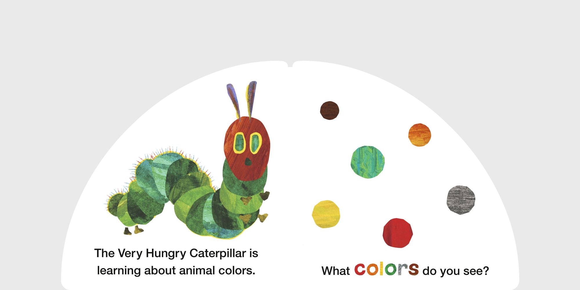 The Very Hungry Caterpillar's Animal Colors