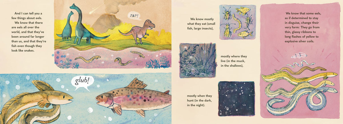 A Riddle of Eels