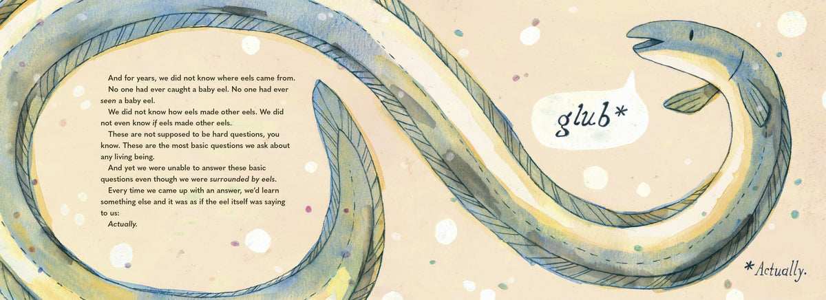A Riddle of Eels