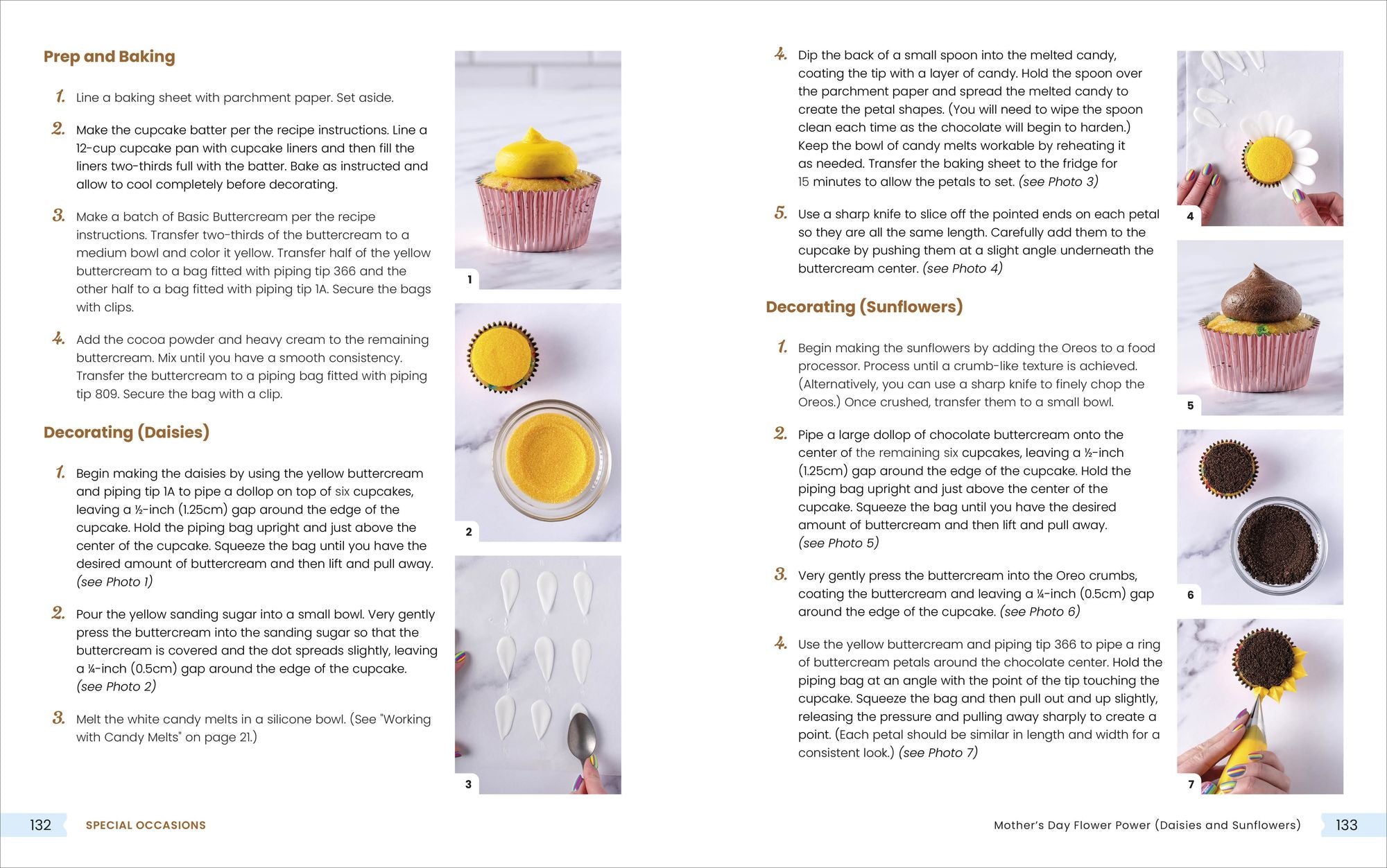 Cupcakes for Any Occasion: 50 Clever Creations Anyone Can Make