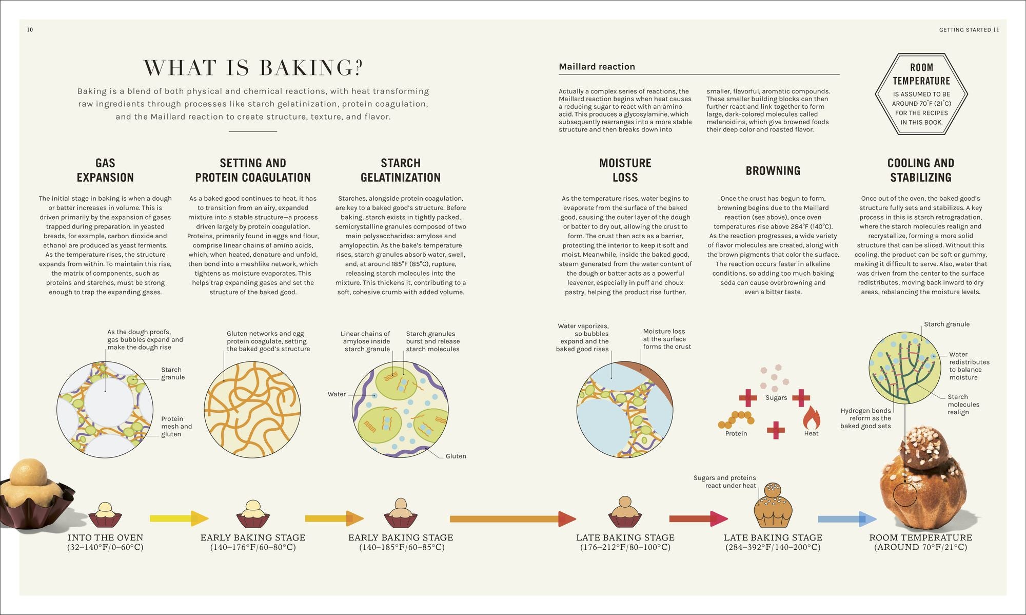 The Science of Baking: Everything You Need to Know to Create Perfect Sweet and Savory Bakes, Every Time