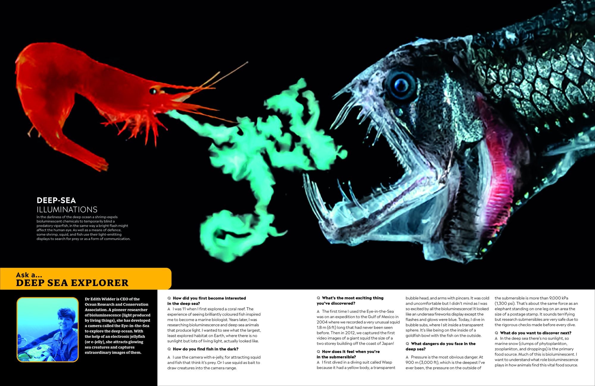 Eyewitness Encyclopedia of Animals