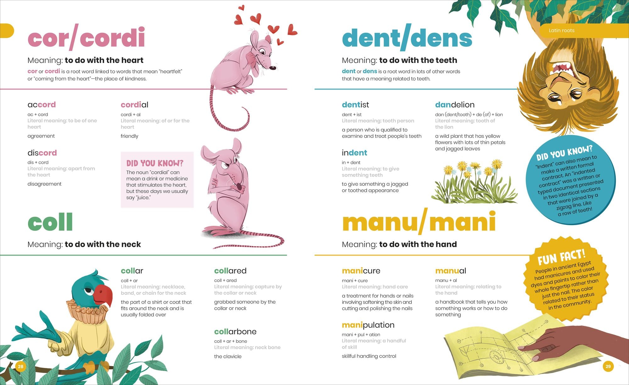 DK SUPER Where Words Come From: Guide to Morphology with Prefixes, Suffixes, and Root Words