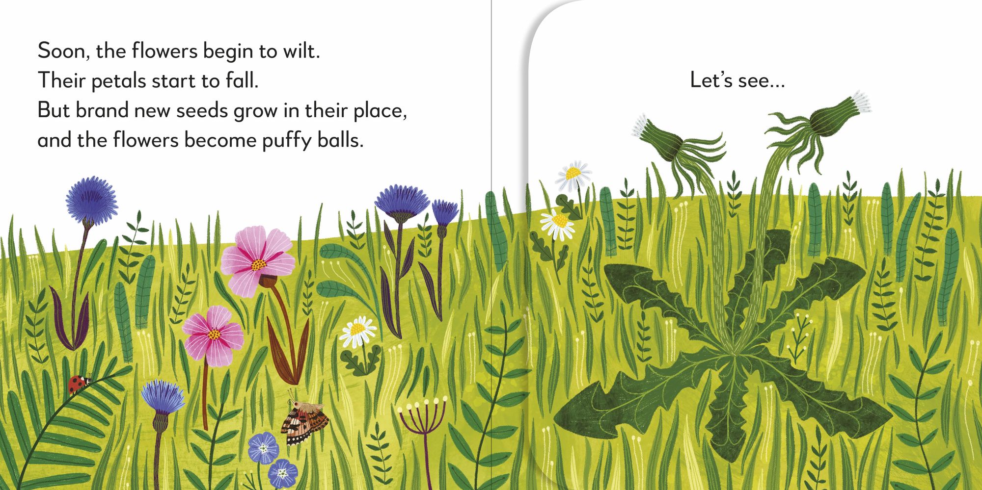 Pop-Up Peekaboo! Flower: A Nature Surprise Under Every Flap!