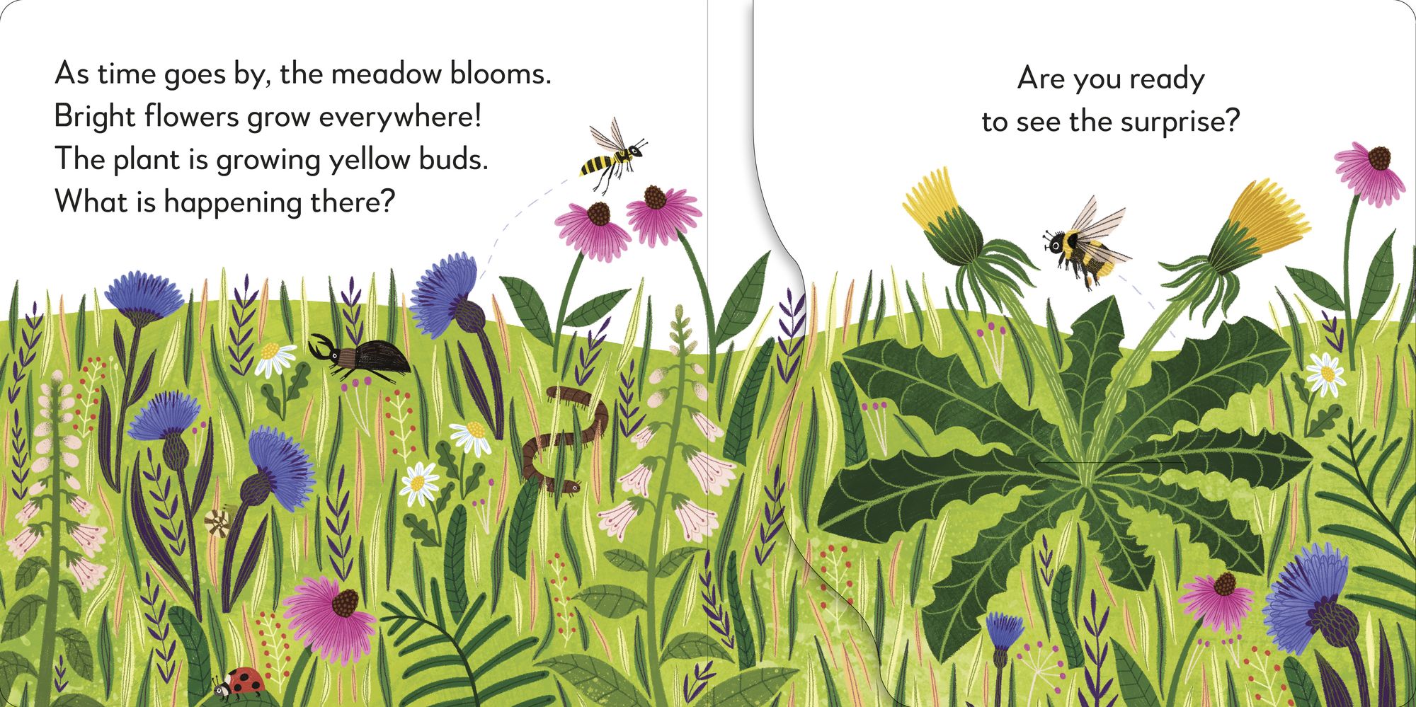 Pop-Up Peekaboo! Flower: A Nature Surprise Under Every Flap!