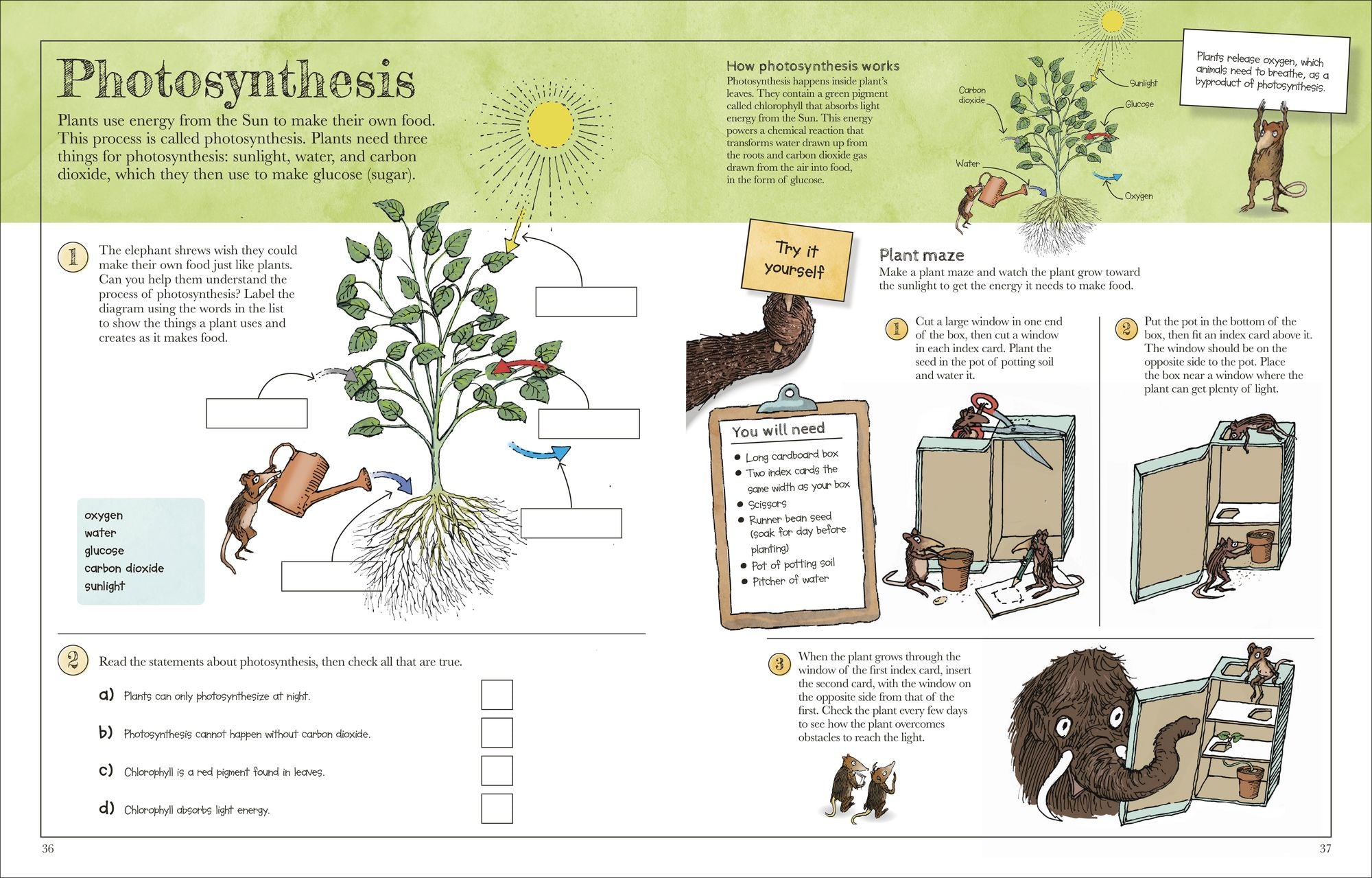 Mammoth Science Workbook: Practice Your Science Skills with a Little Help from Some Mammoths