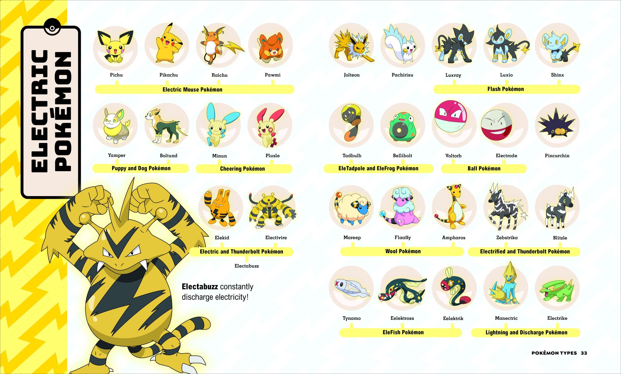 Pokémon Big Book of Facts