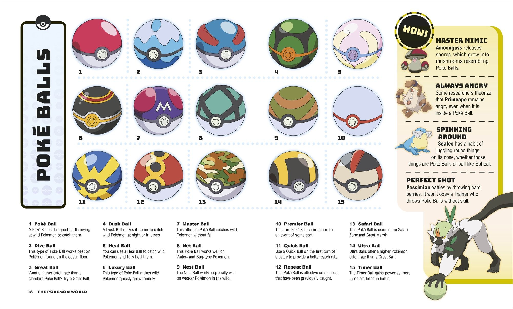 Pokémon Big Book of Facts