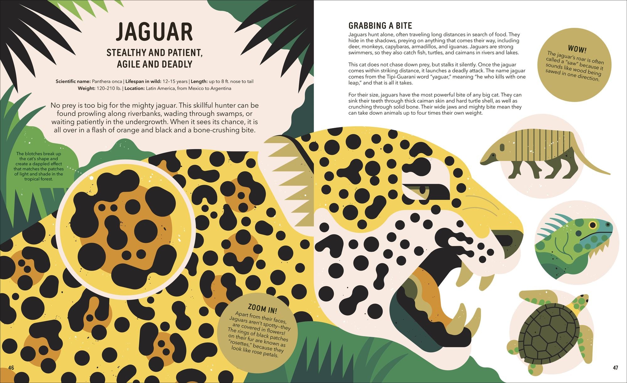 Zoom Out Natural World: Discover 12 Iconic Animals and Their Incredible Ecosystems