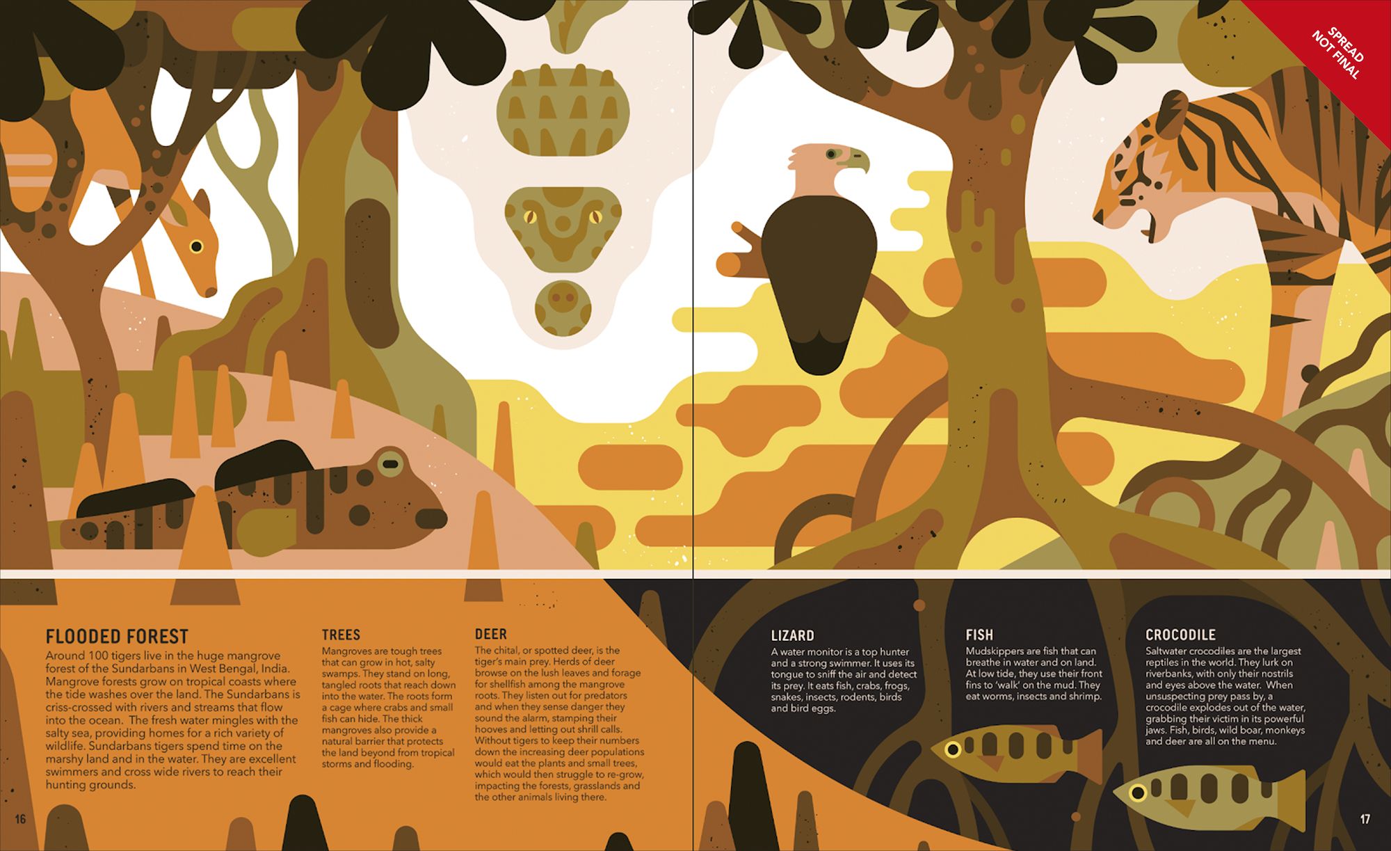 Zoom Out Natural World: Discover 12 Iconic Animals and Their Incredible Ecosystems