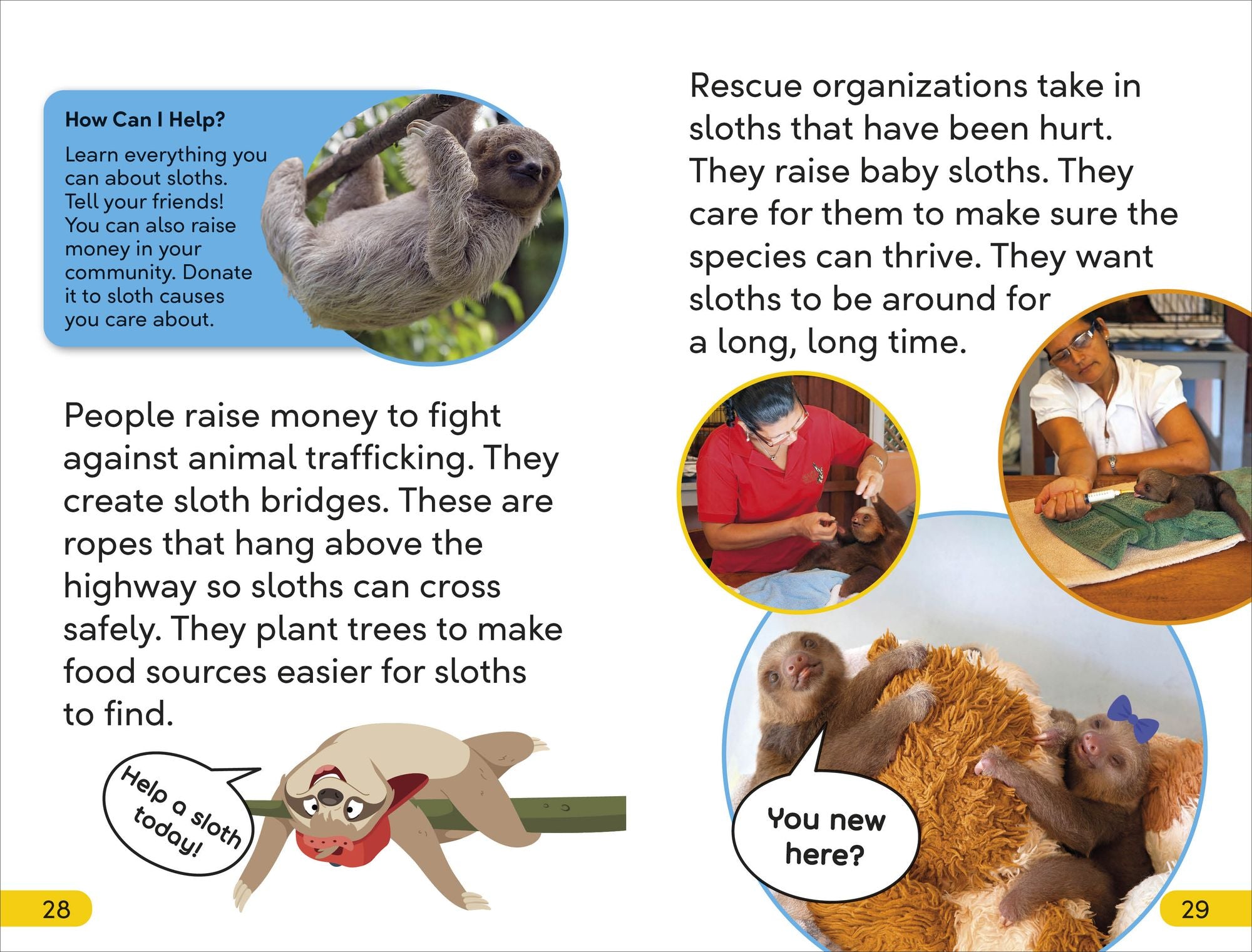 DK Super Readers Level 2 Sassy Sloth