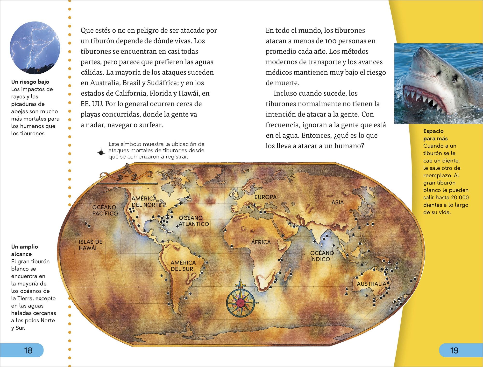 DK Super Readers Level 4 Spanish Translation Shark Attack - Ataques de tiburones