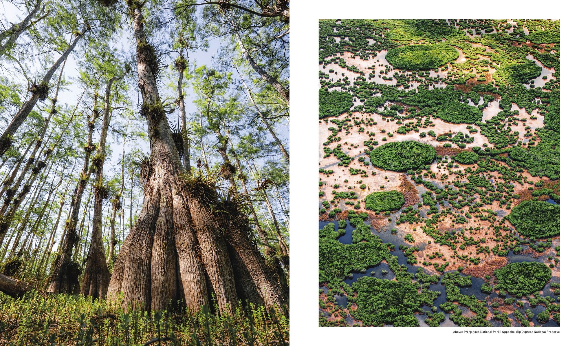Otherworldly America: Explore the Most Unique Natural Wonders of the United States