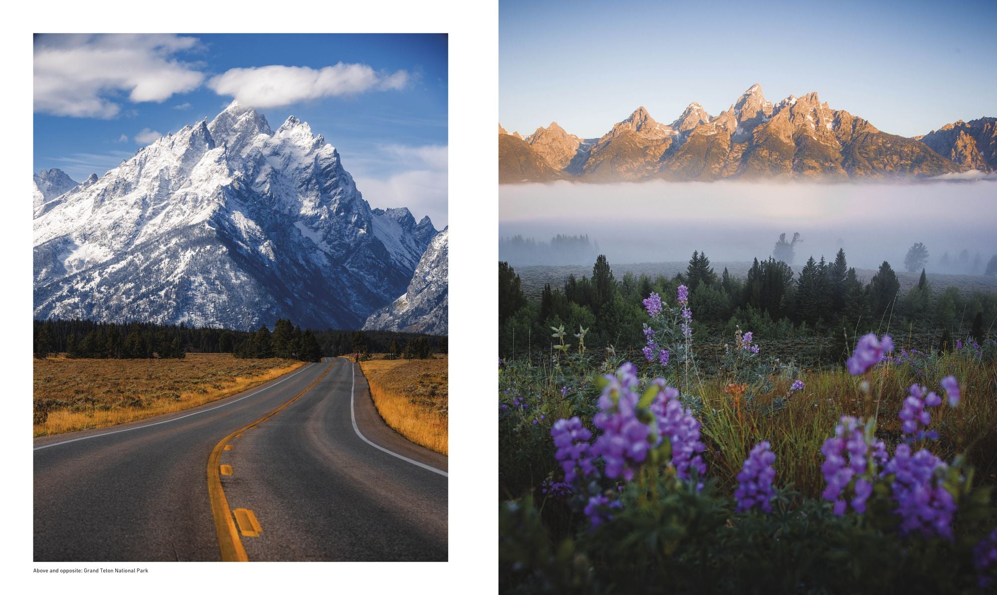 Otherworldly America: Explore the Most Unique Natural Wonders of the United States