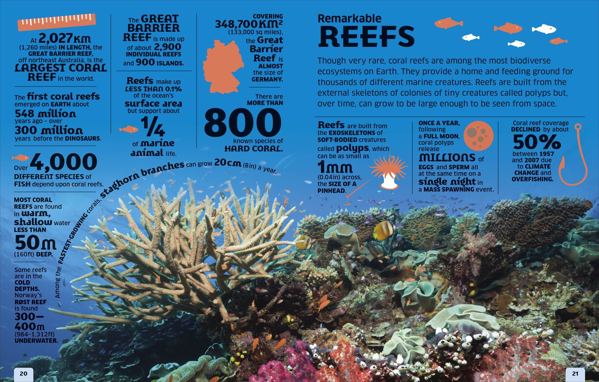 Our World in Numbers: Planet Earth