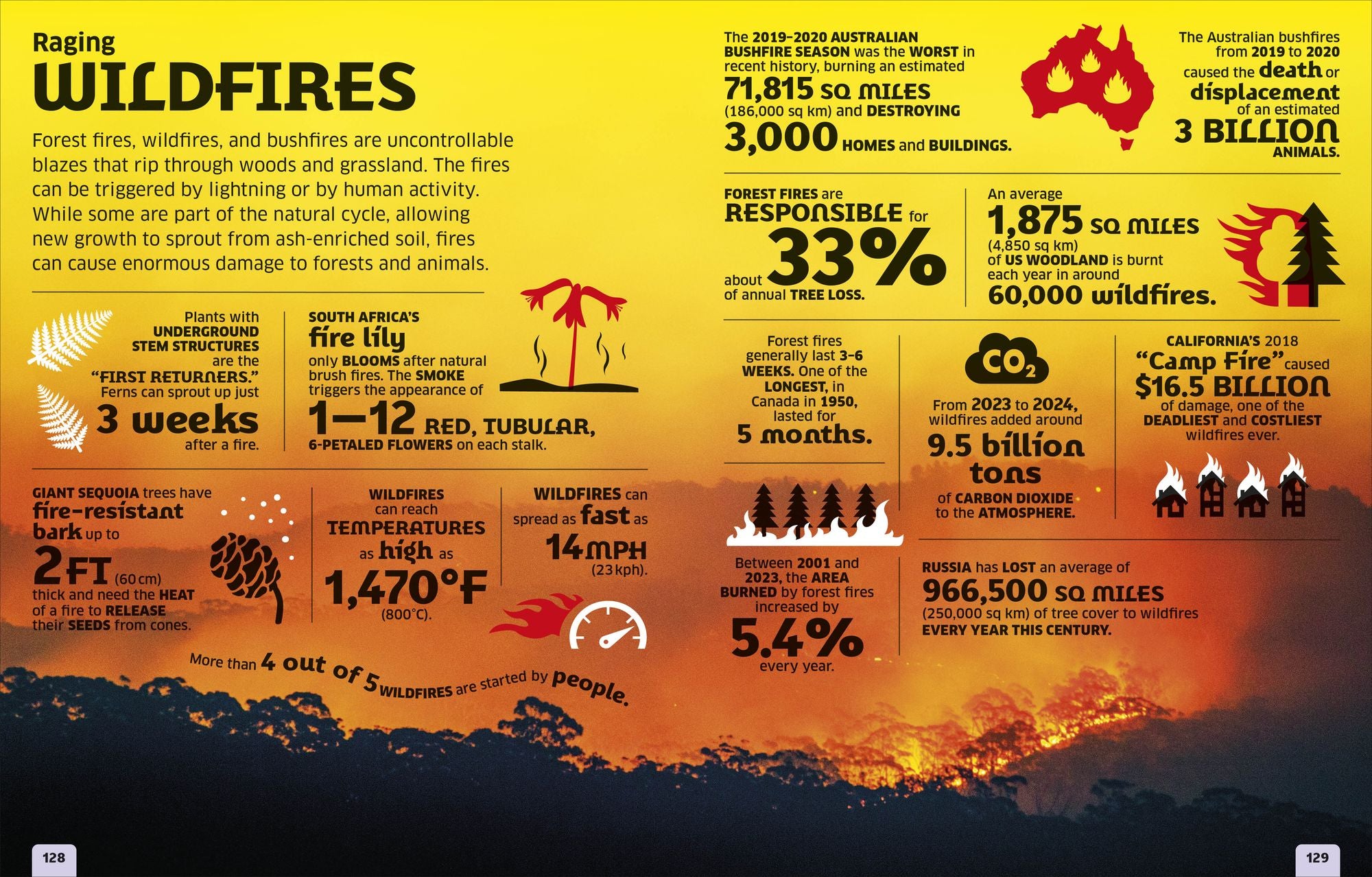 Our World in Numbers: Planet Earth