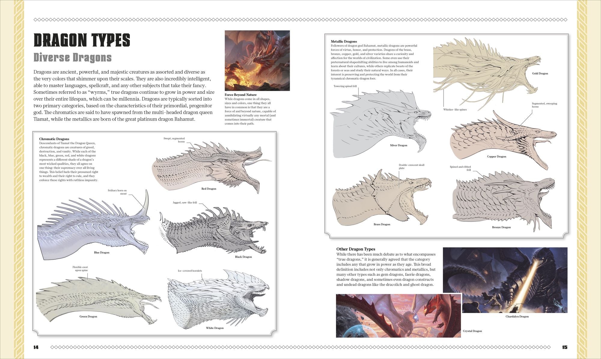 Dungeons and Dragons The Book of Dragons