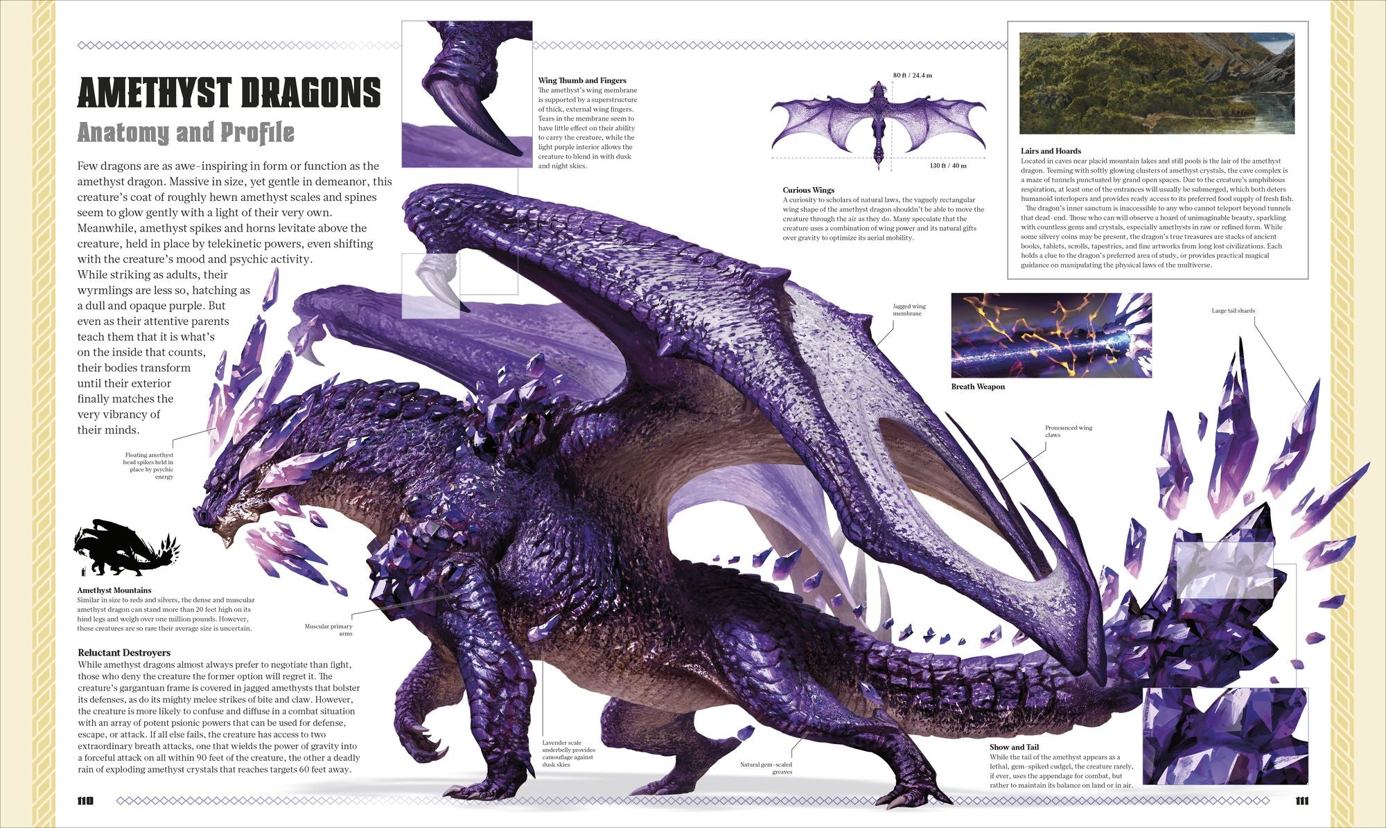 Dungeons and Dragons The Book of Dragons