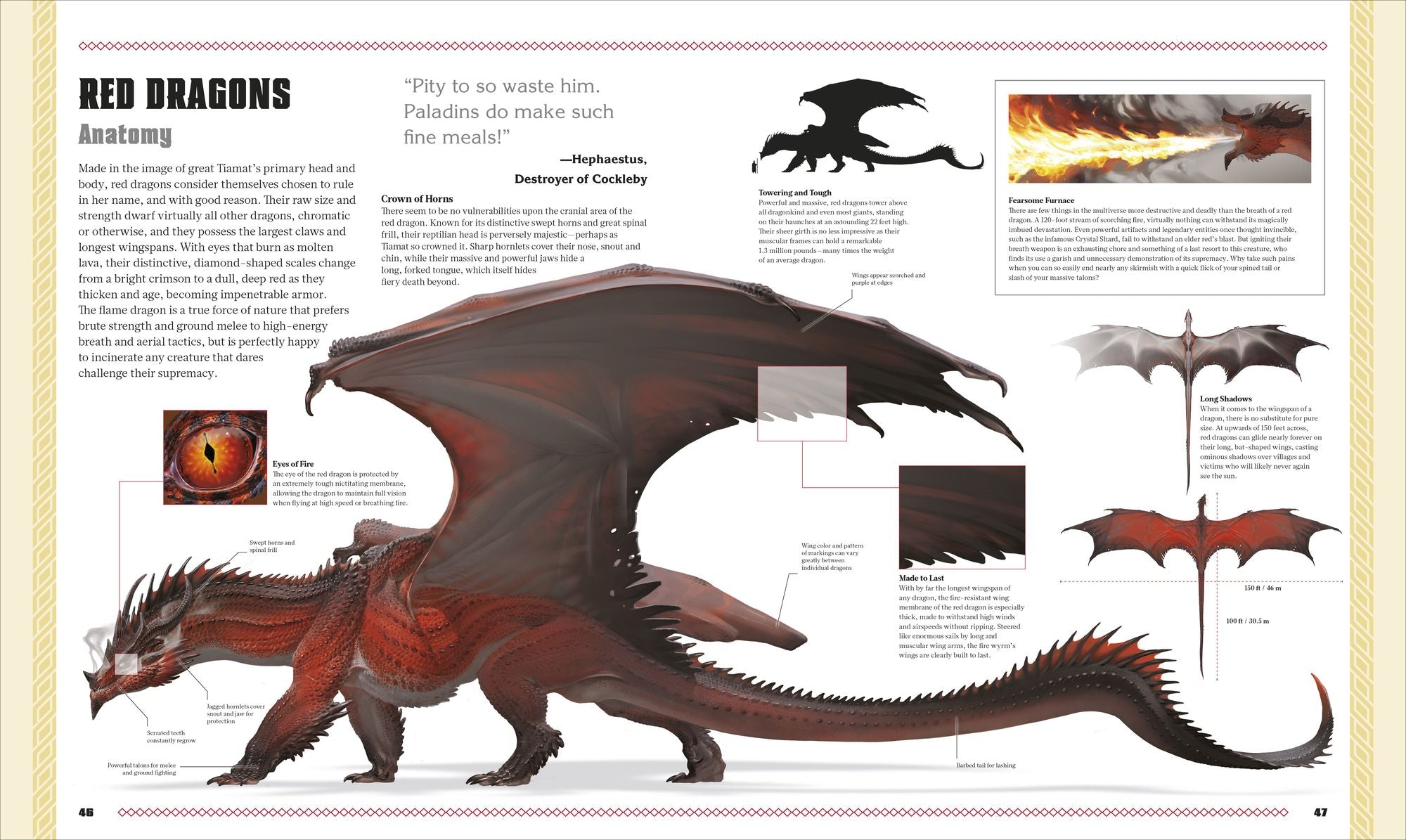 Dungeons and Dragons The Book of Dragons