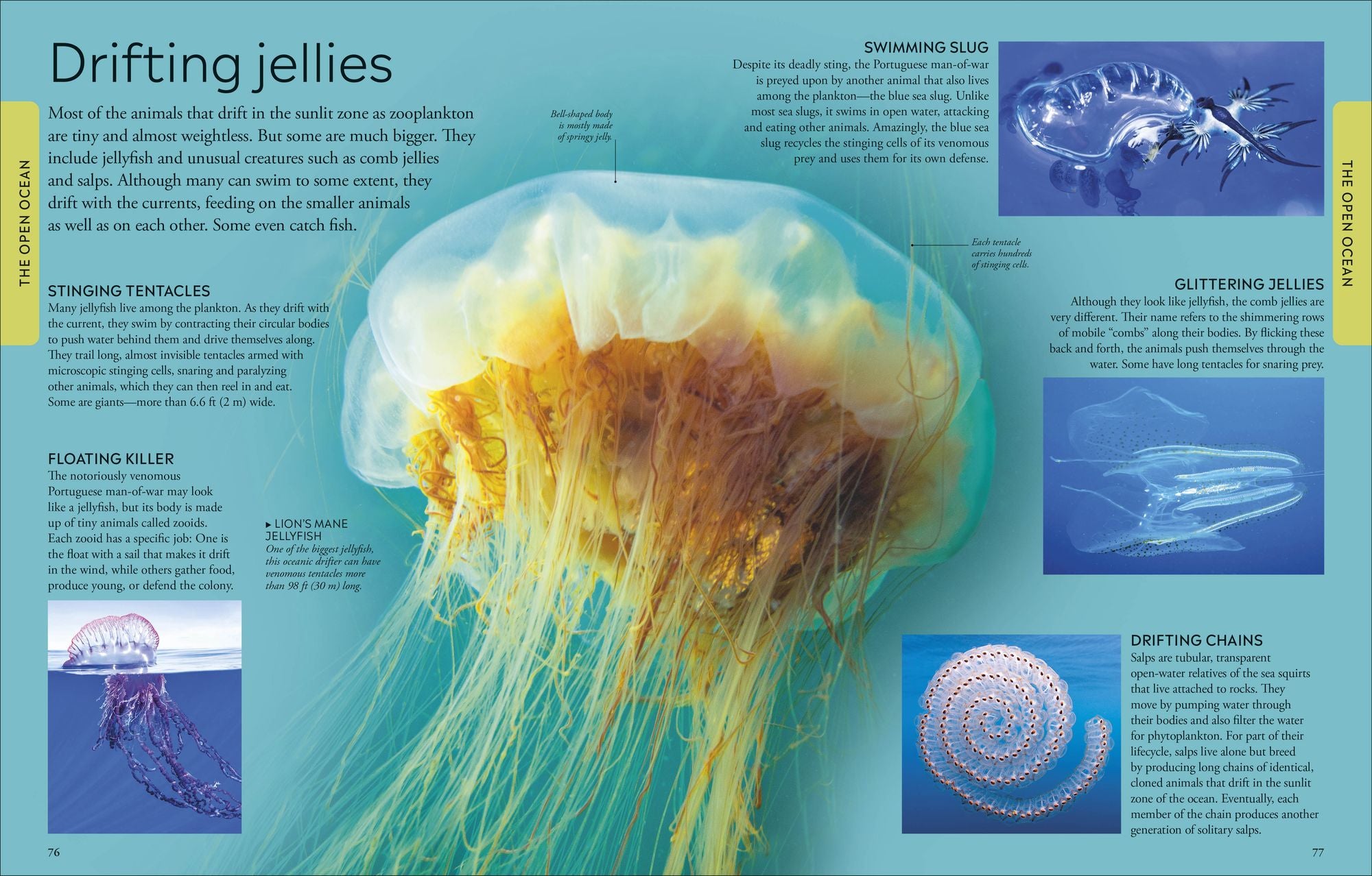 Ocean: A Visual Encyclopedia, 2nd Edition