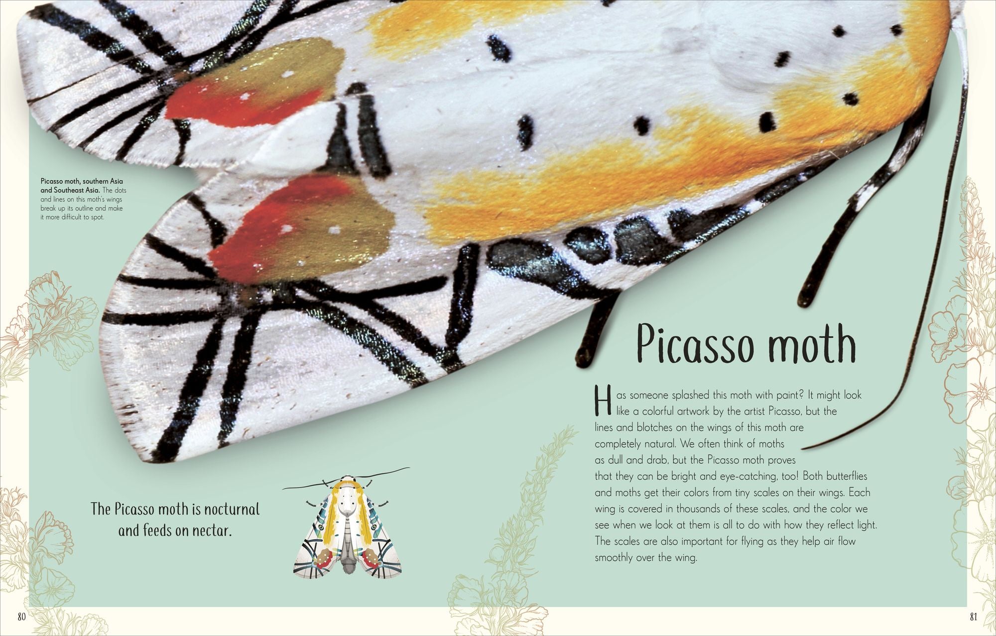 An Anthology of Remarkable Bugs