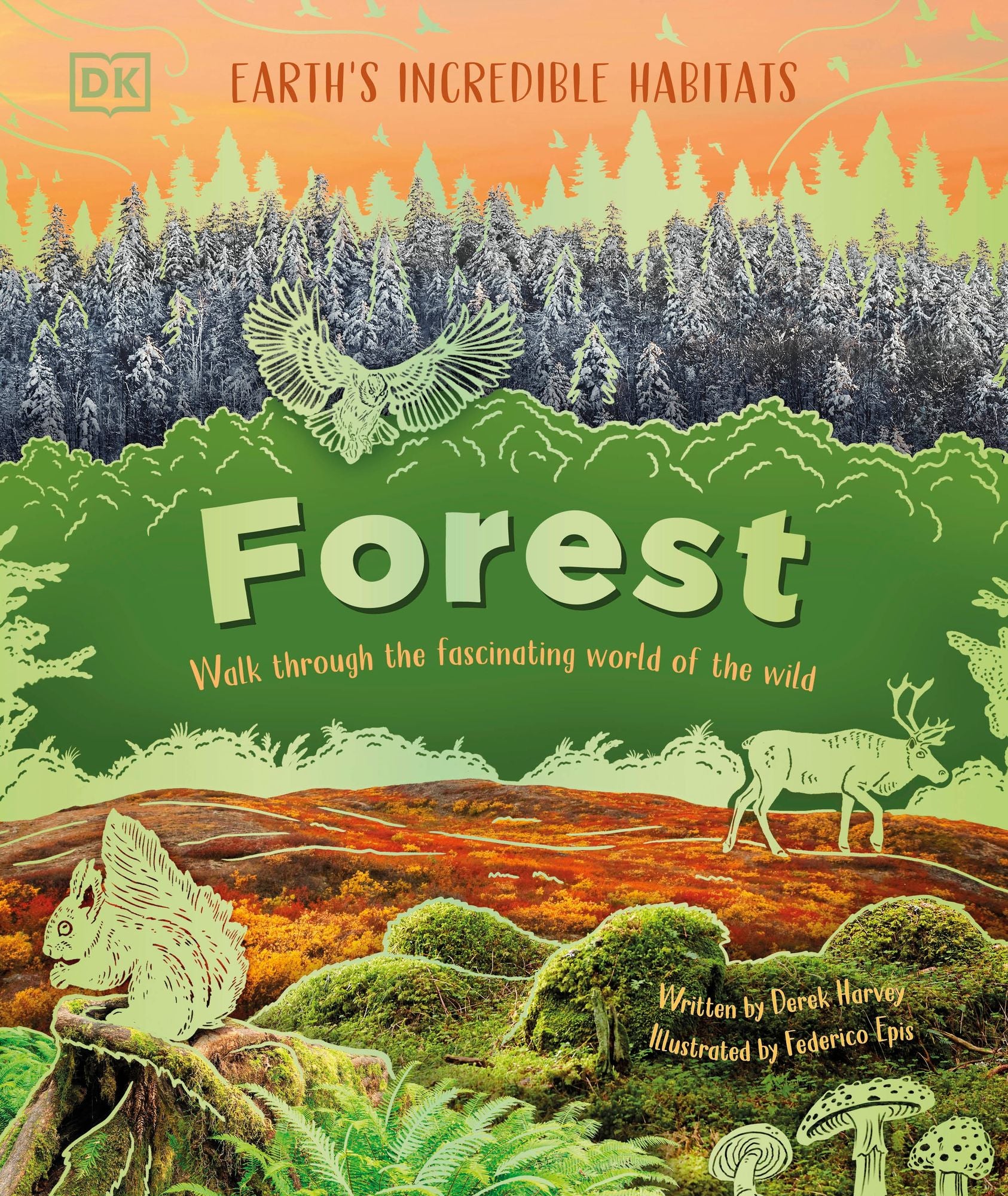 Forest: Walk Through the Fascinating World of the Wild