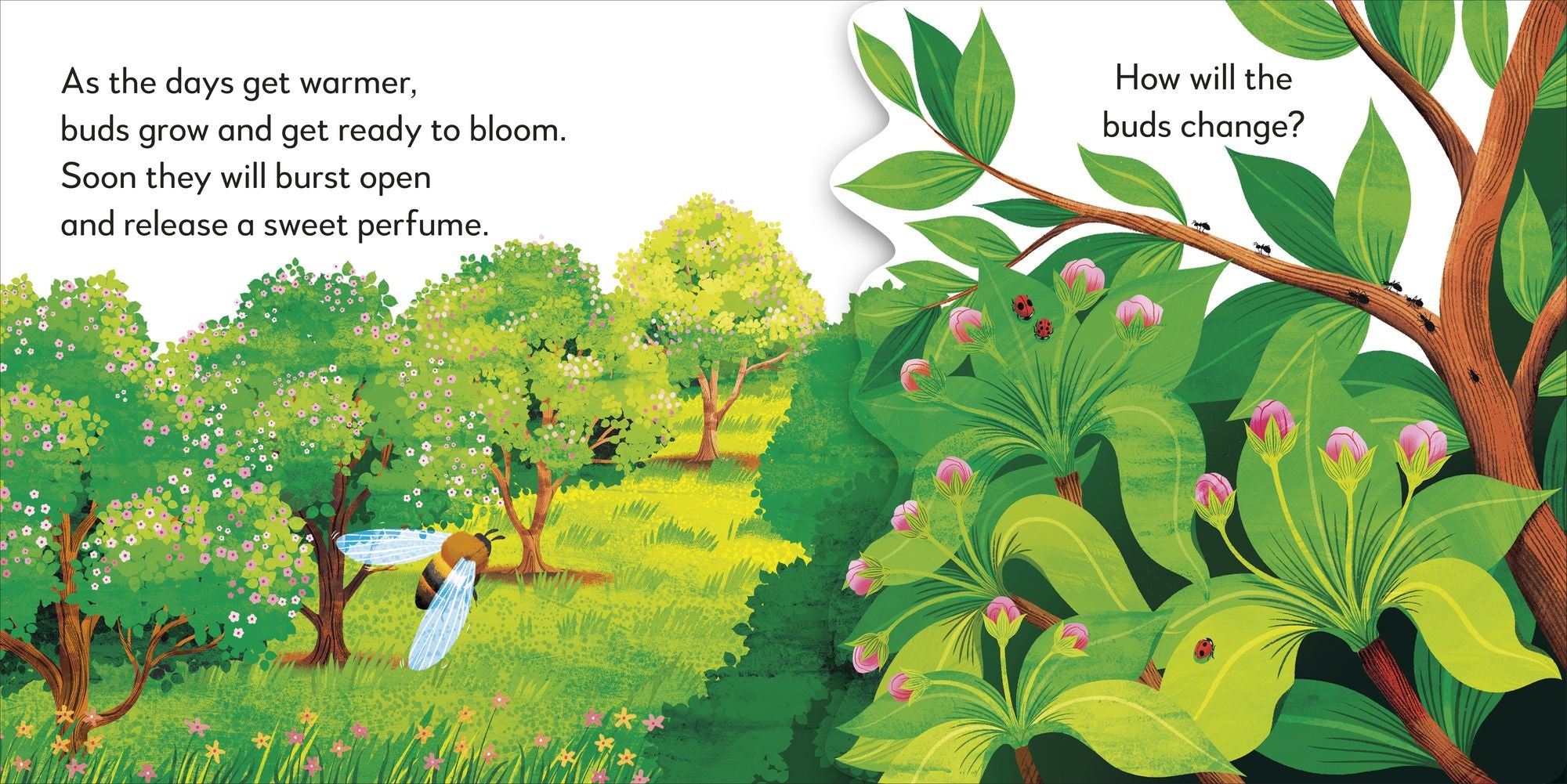 Pop-Up Peekaboo! Tree: A Leafy Surprise Under Every Flap!