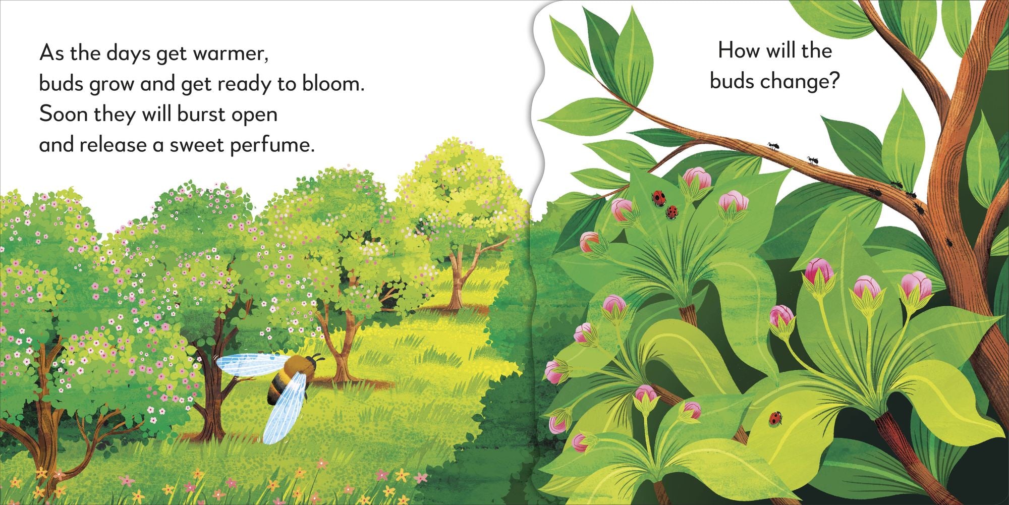 Pop-Up Peekaboo! Tree: A Leafy Surprise Under Every Flap!