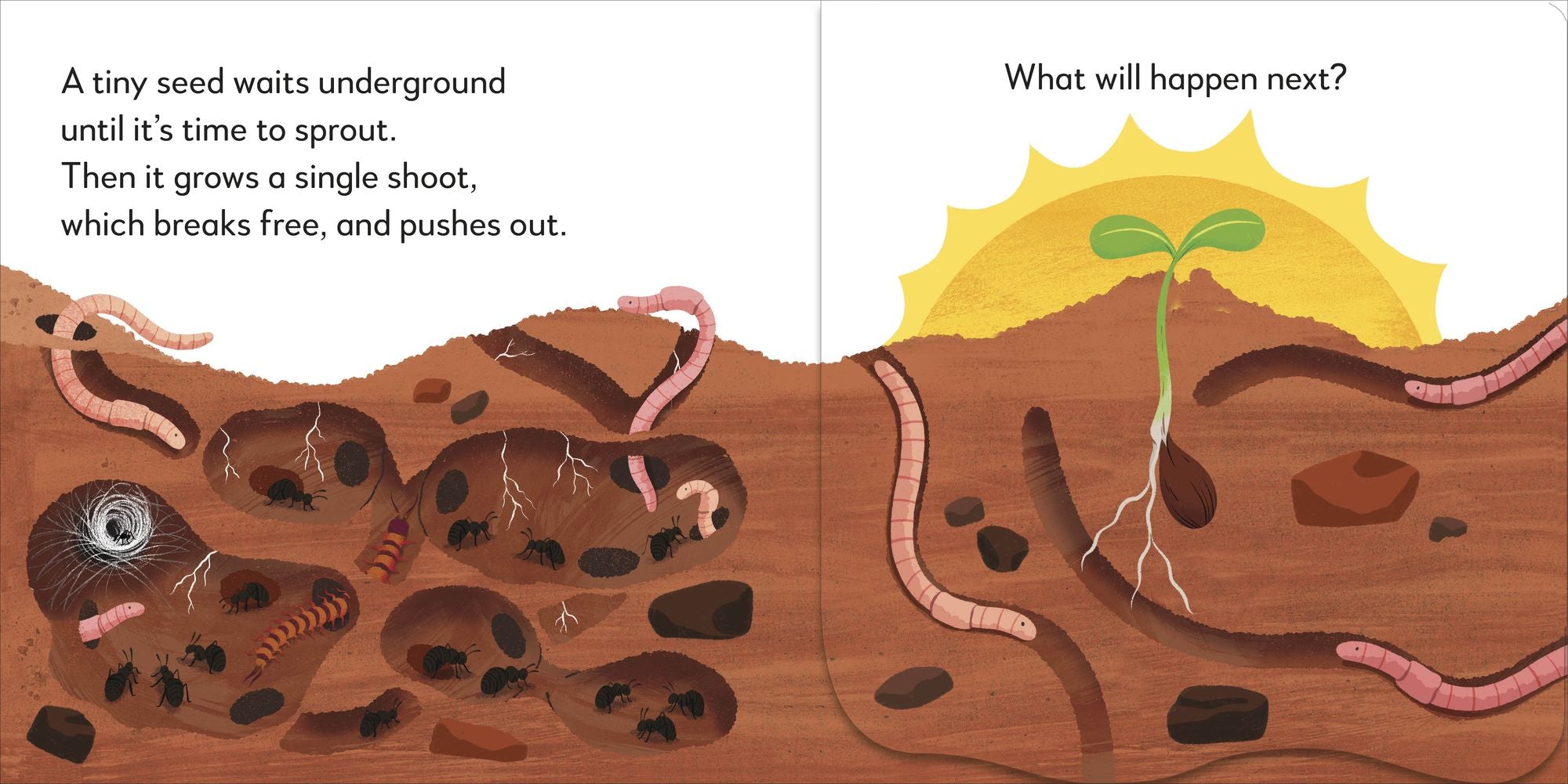Pop-Up Peekaboo! Tree: A Leafy Surprise Under Every Flap!