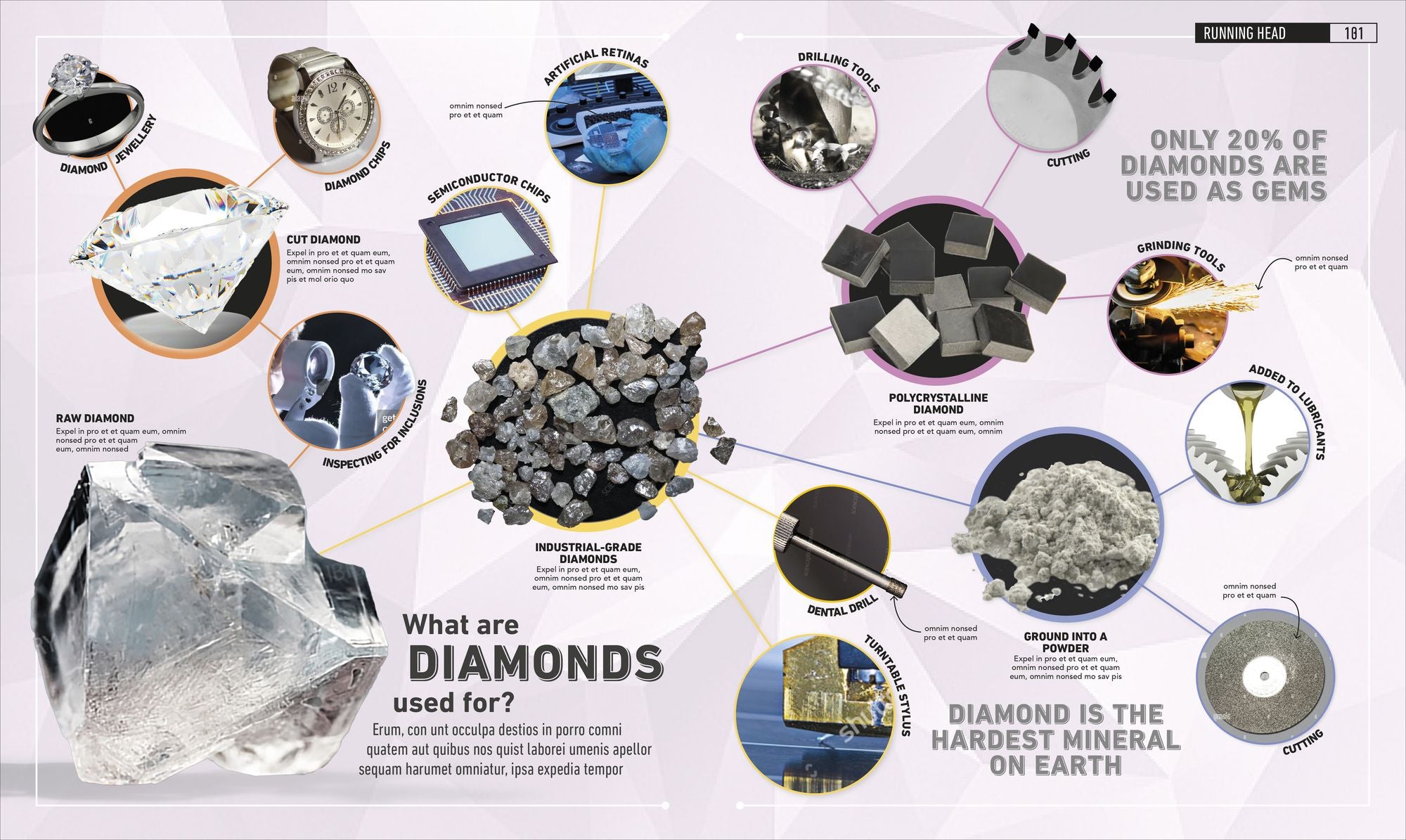 What's It Made Of?: The Materials That Shape Our World