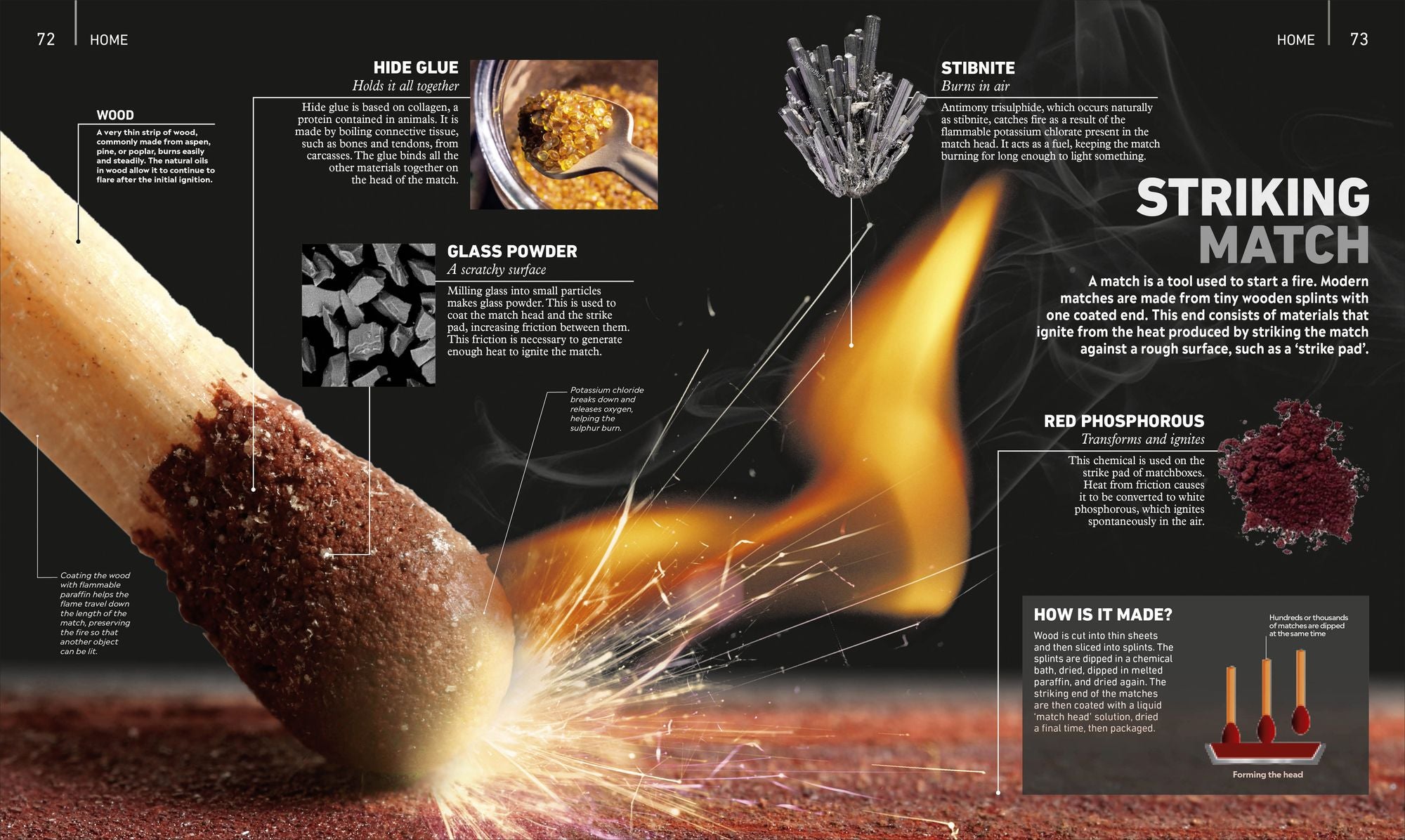 What's It Made Of?: The Materials That Shape Our World