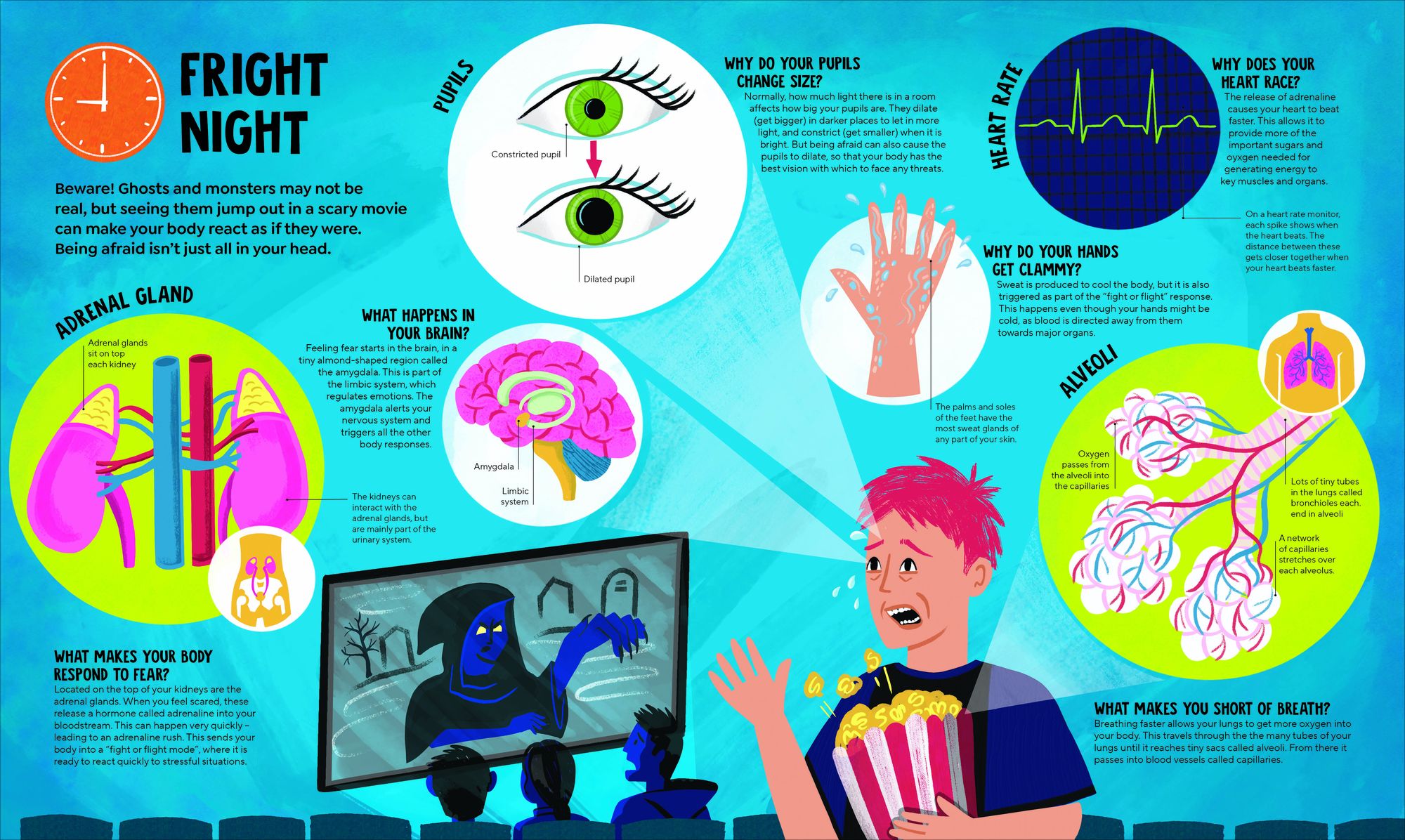 A Day in the Life of Your Body: Find Out What's Going on Under Your Skin