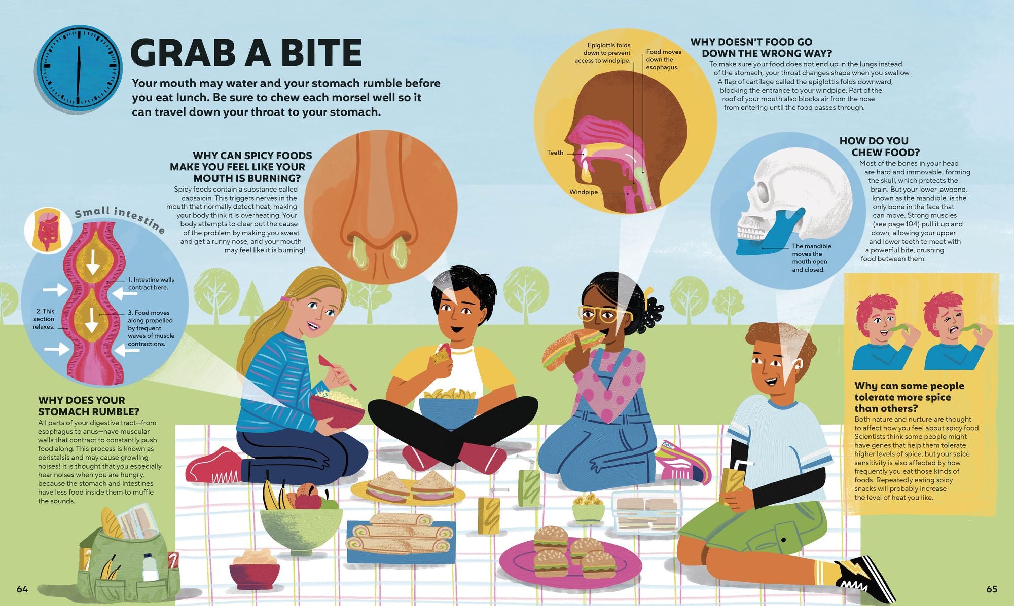 A Day in the Life of Your Body: Find Out What's Going on Under Your Skin