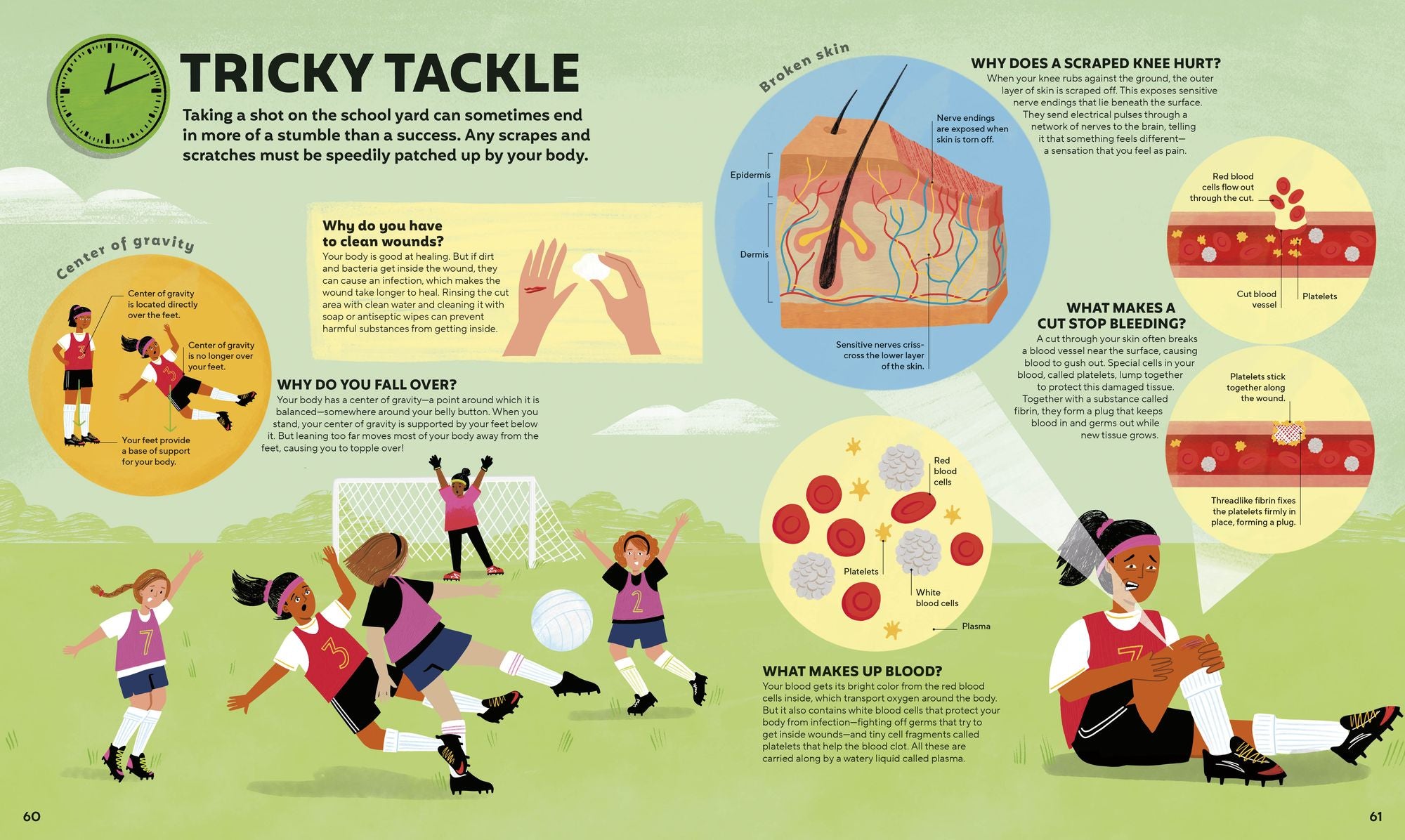 A Day in the Life of Your Body: Find Out What's Going on Under Your Skin