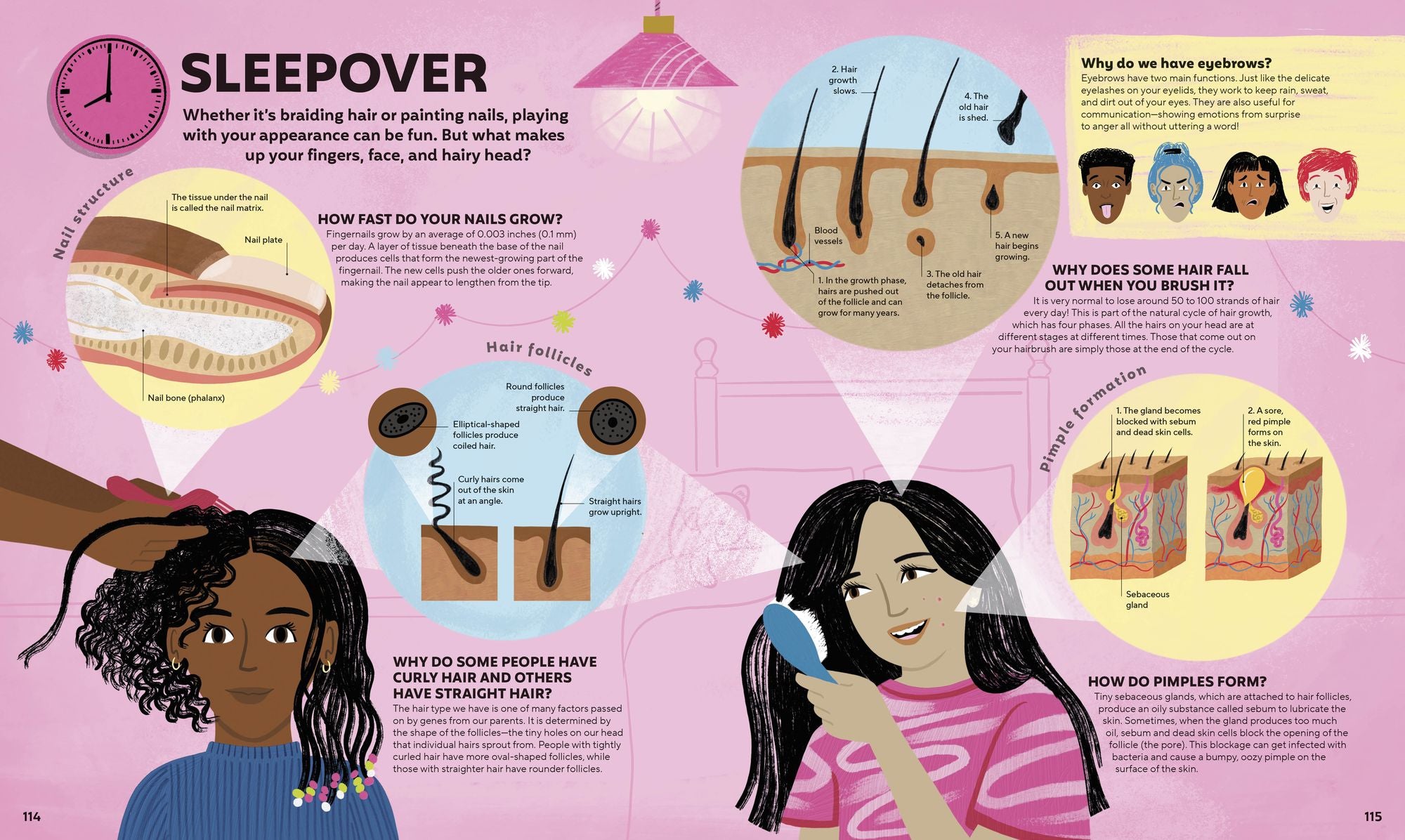 A Day in the Life of Your Body: Find Out What's Going on Under Your Skin