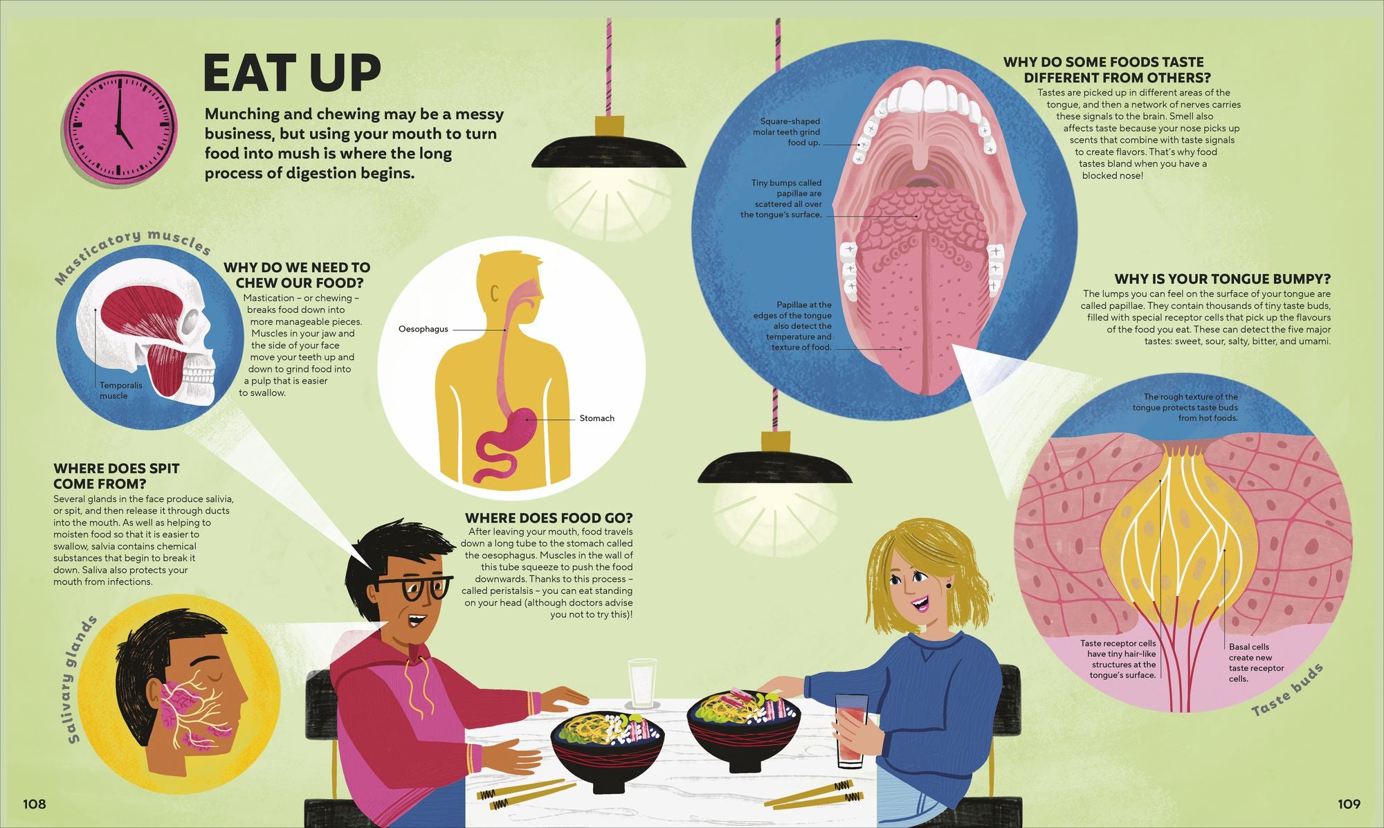 A Day in the Life of Your Body: Find Out What's Going on Under Your Skin