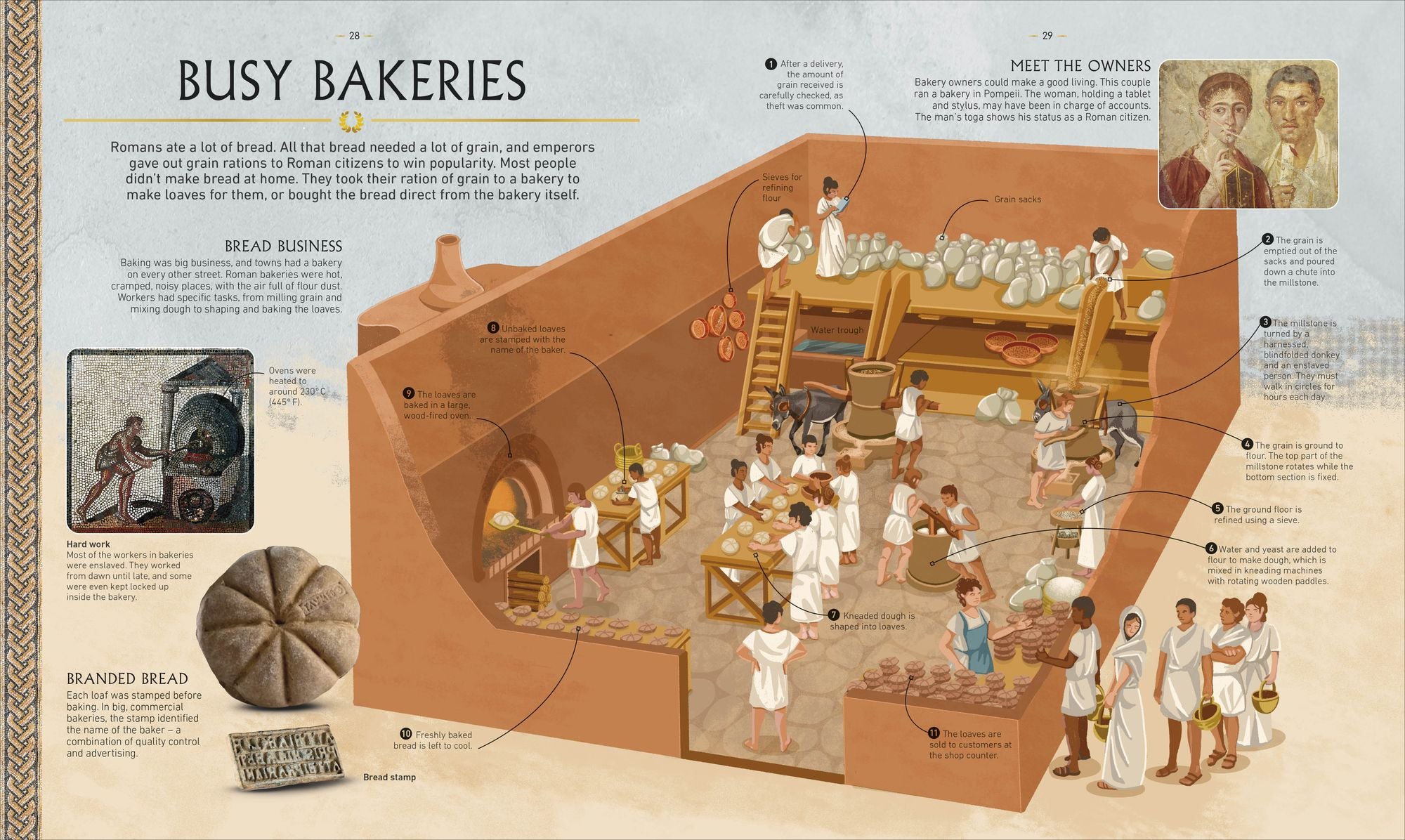 Ancient Rome: From Everyday Life to An Emperor's Life