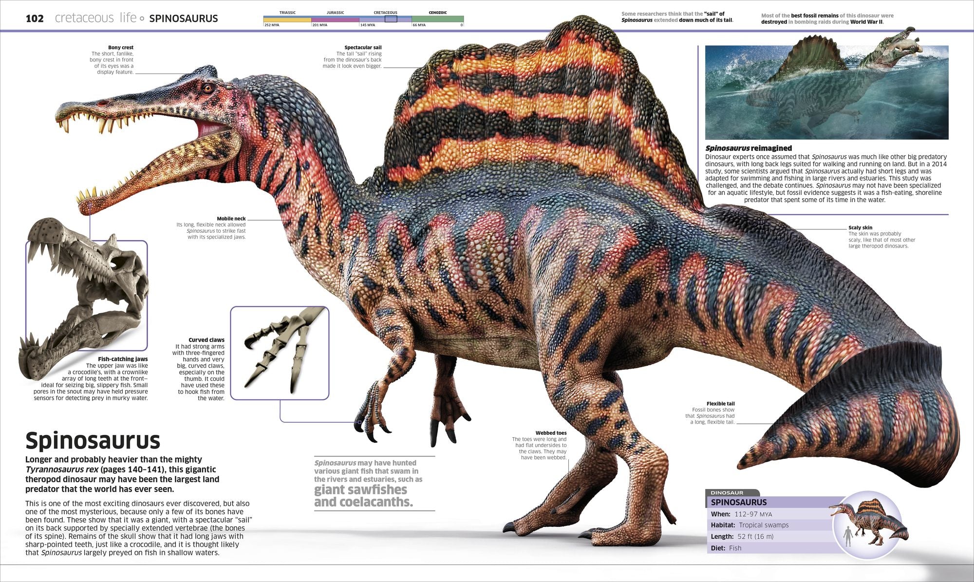 Knowledge Encyclopedia Dinosaur!