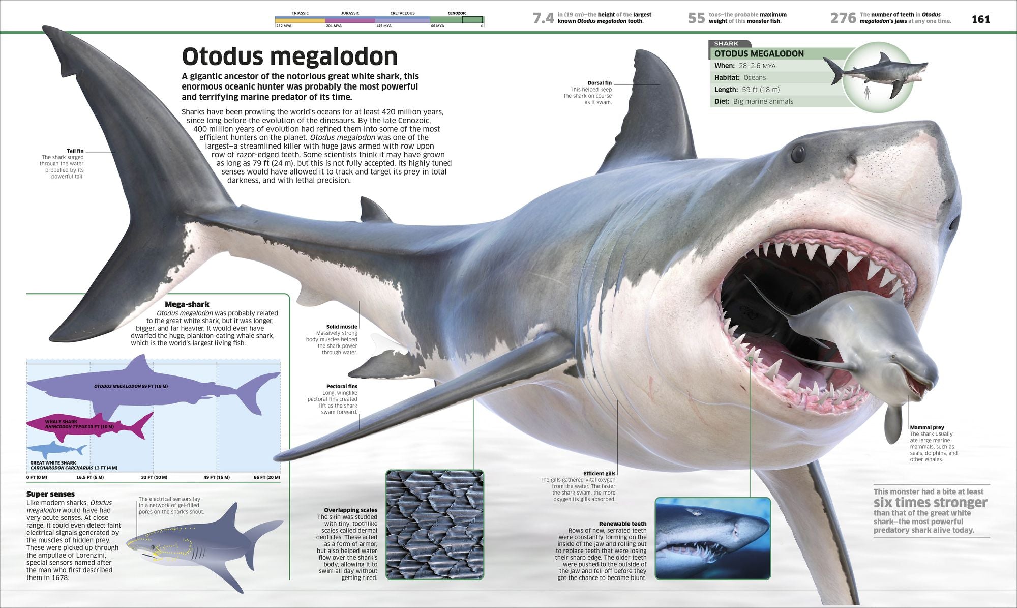 Knowledge Encyclopedia Dinosaur!