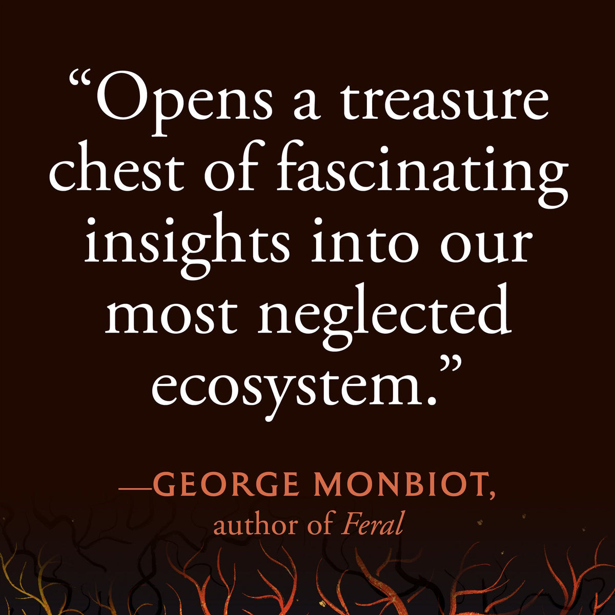 The World Beneath Our Feet: The Hidden Life of Soil and Why It Matters to Us All