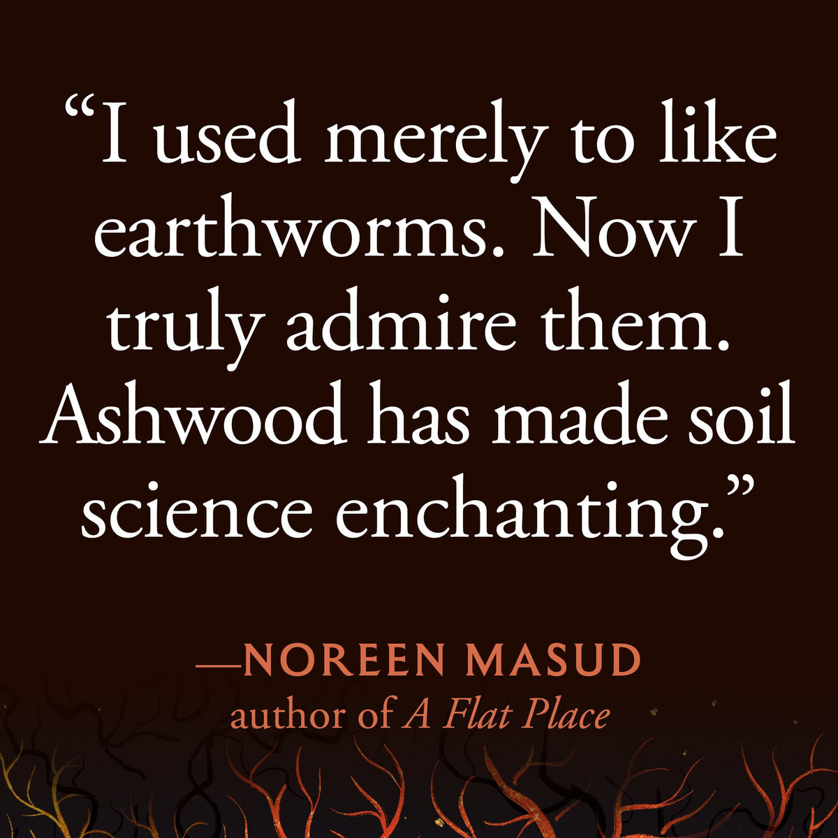 The World Beneath Our Feet: The Hidden Life of Soil and Why It Matters to Us All