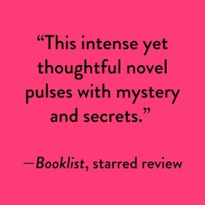 Lady X: A Novel