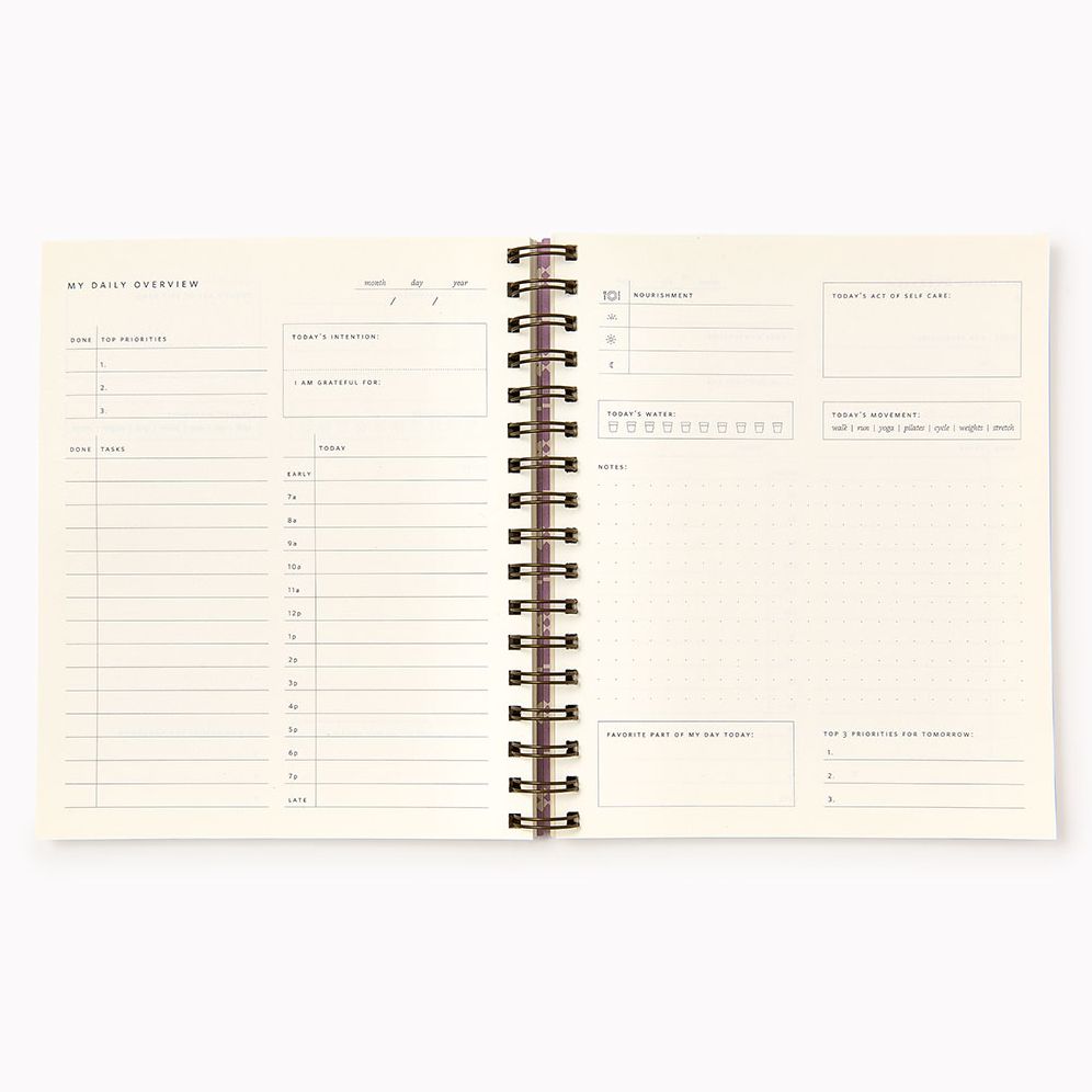 Choc Stripe Paper Wasp Daily Planner