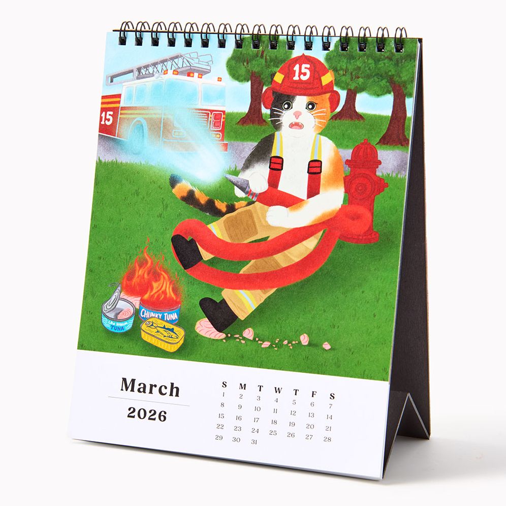 2026 Paper Source Catitude Desk Easel Calendar