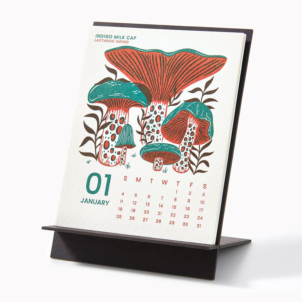 2026 Paper Source Mushroom Letterpress Desk Easel Calendar