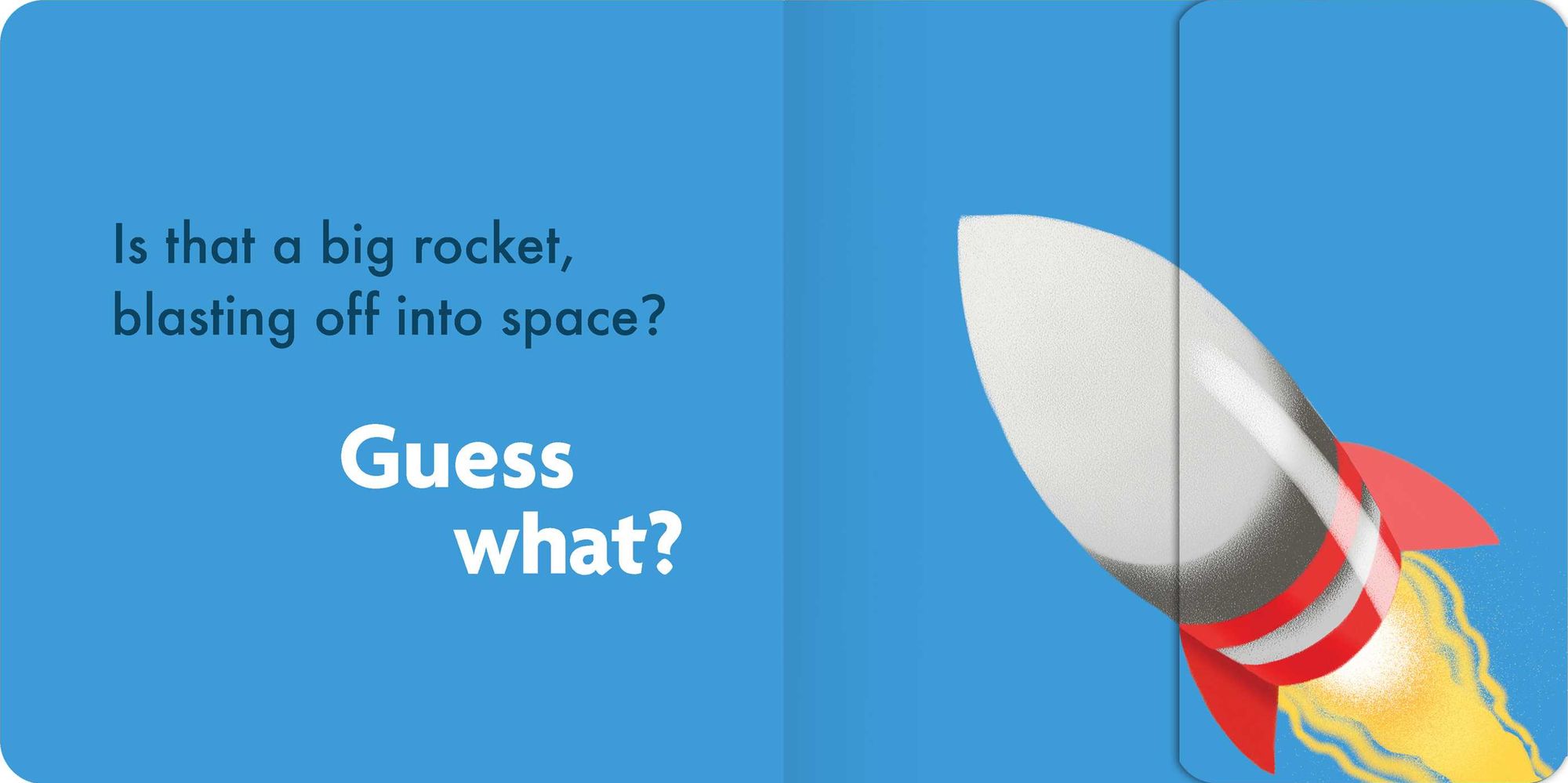 Guess What?: Lift-the-Flap Board Book